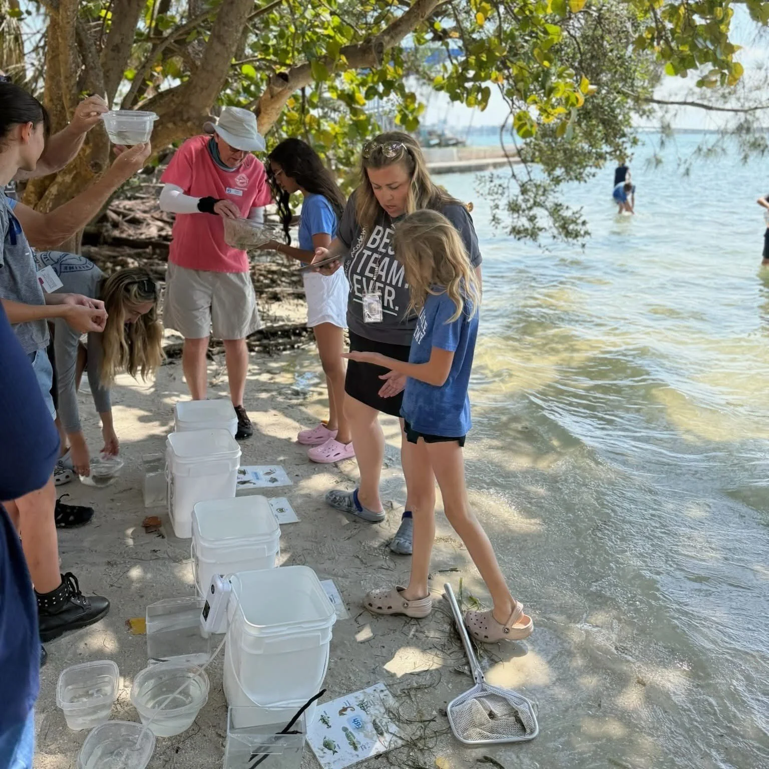 People on a beach engaging in a marine wildlife conservation activity, examining educational materials and equipment, near water with trees in the background.