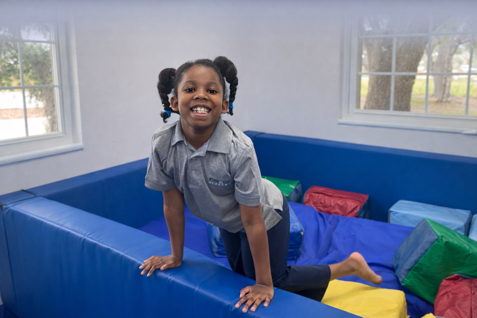 Pinnacle Academy Pinnacle Academy