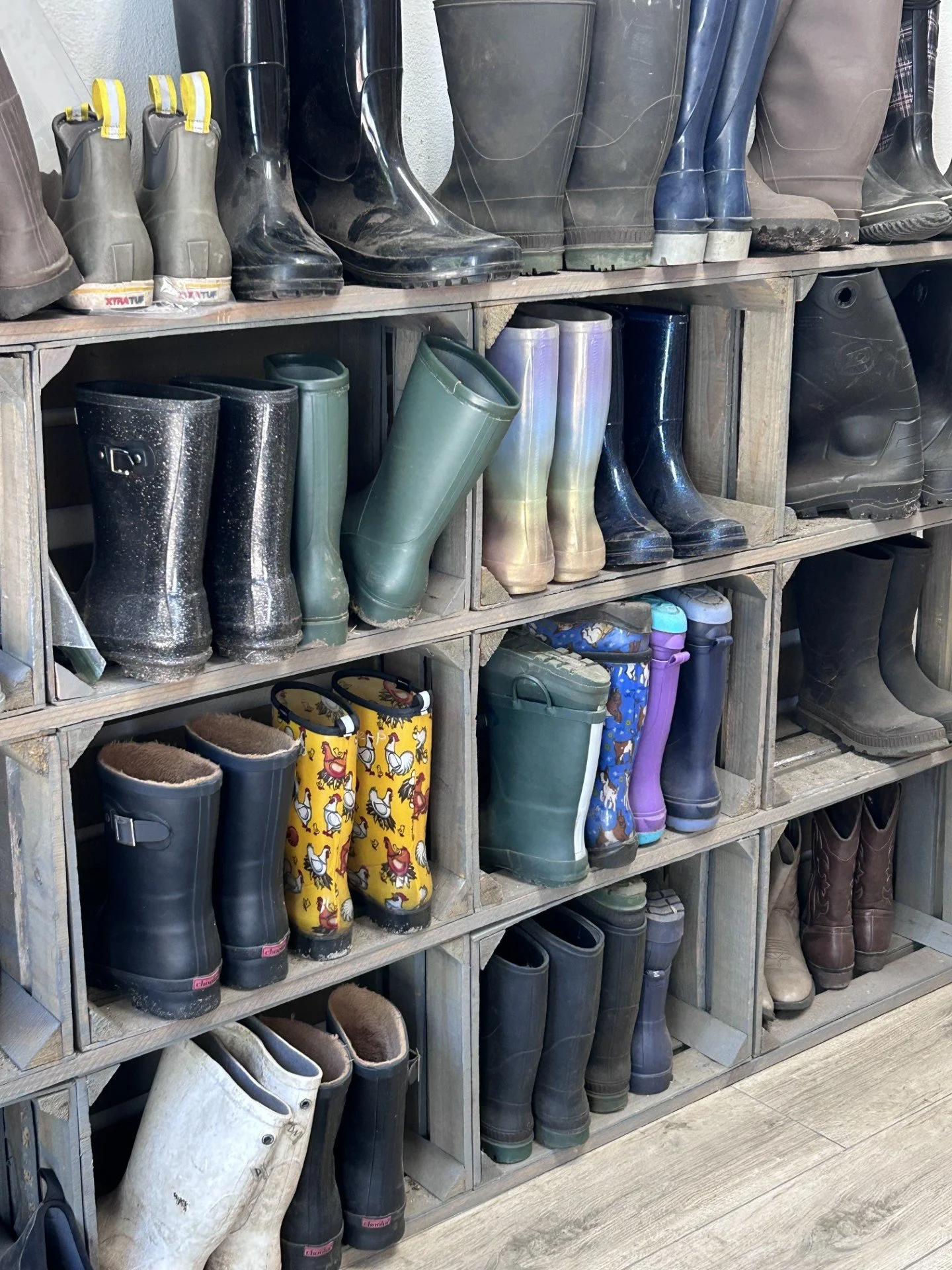 A wooden cubby shelf filled with various styles and colors of rubber boots, some with fuzzy linings, arranged in rows.