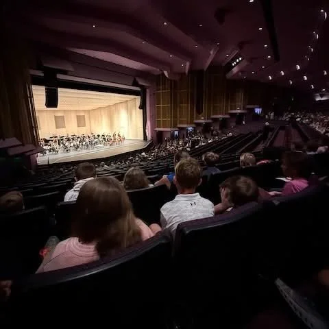Audience viewing a stage performance or concert in a theater with a large auditorium and orchestra.