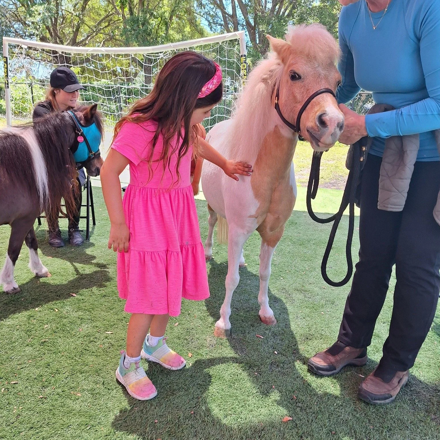 A girl in a pink dress petting a light brown and white pony while an adult holds the pony's halter, with another girl near a small dark pony in the background.