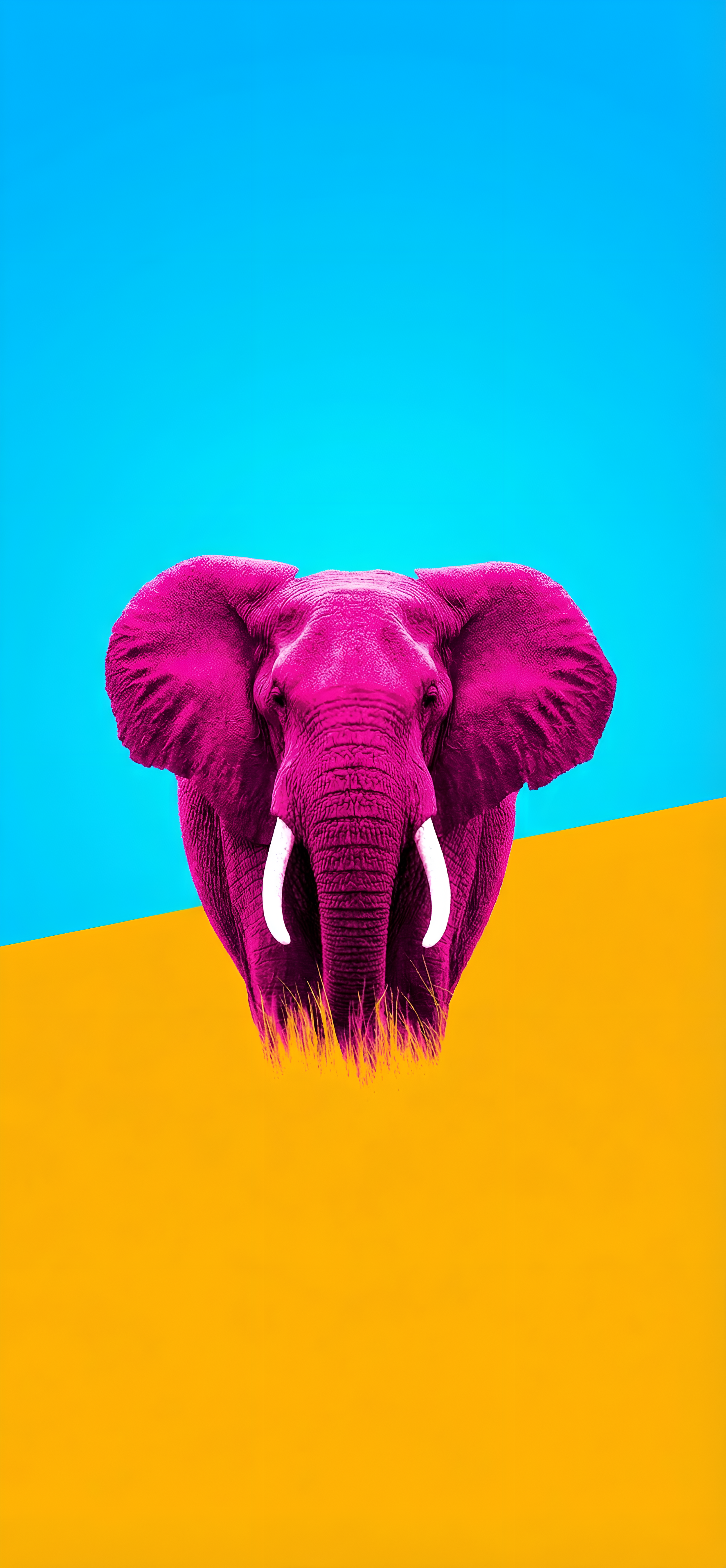 download-1153745804 (1).png