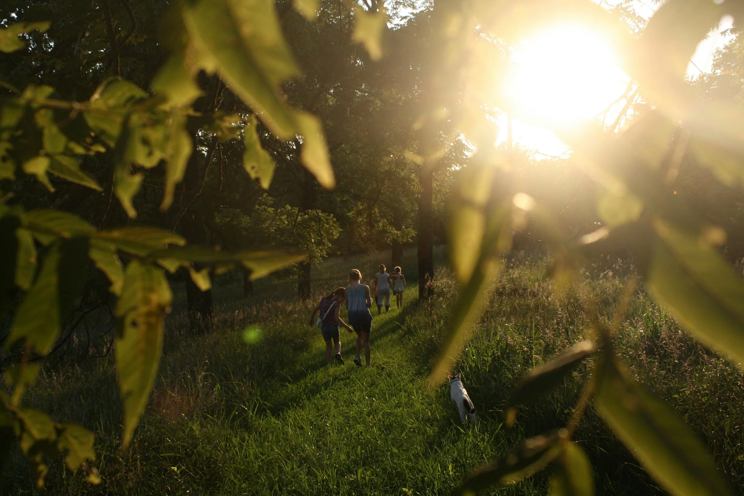 Family enjoying time outdoors while our professional movers pack their home