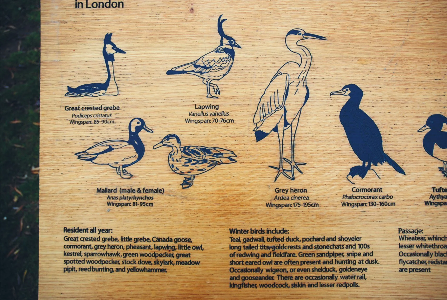 Fairlop Conservation Park