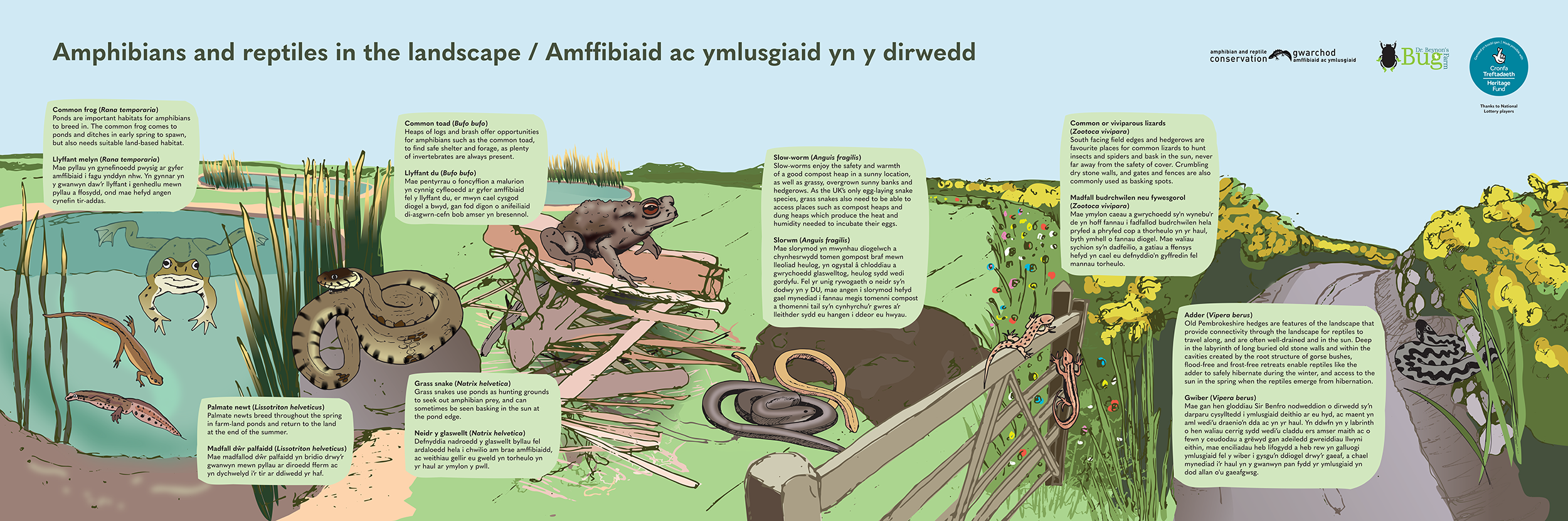 The Bug Farm
