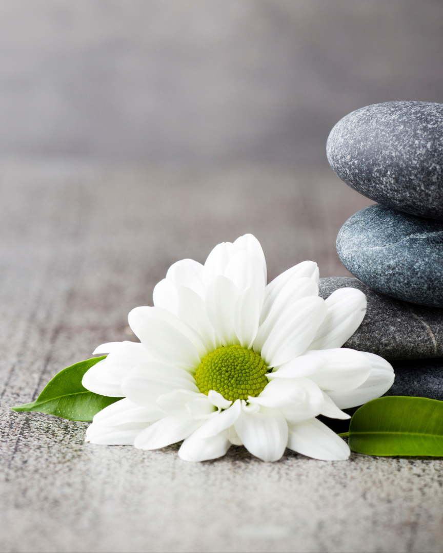 White daisy with a green center resting on a textured surface next to gray stacked stones.