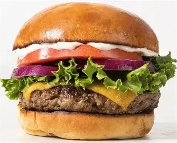 A cheeseburger with lettuce, tomato, red onion, mayonnaise, and a beef patty in a bun.