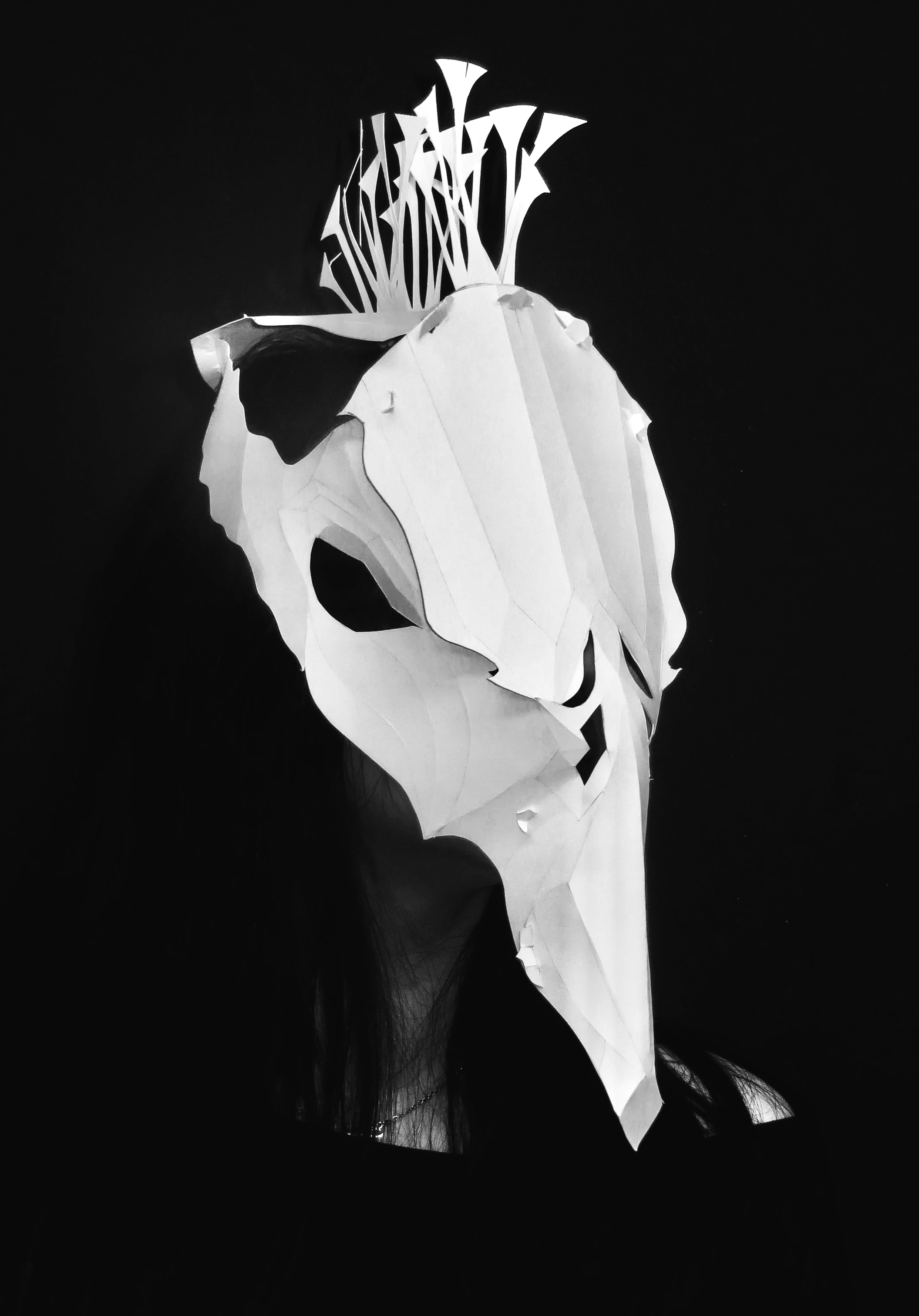IMG_7119+6.png