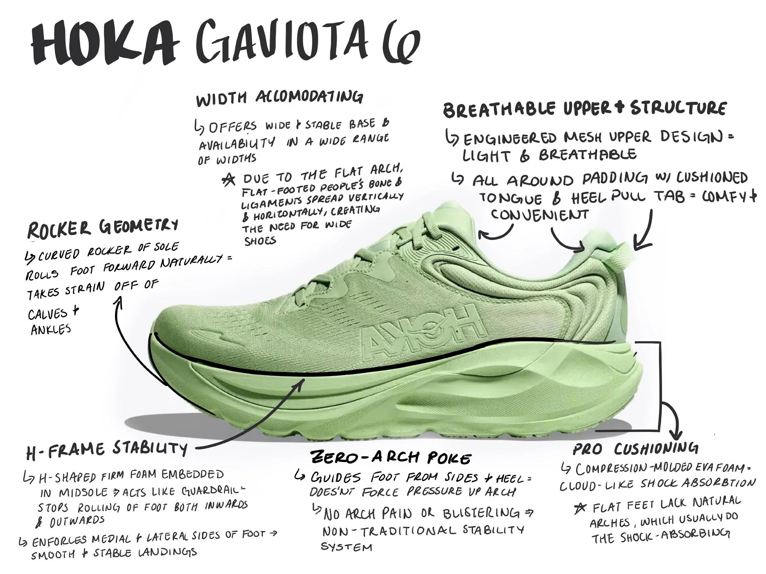 Hoka Gaviota 6 Research.jpg