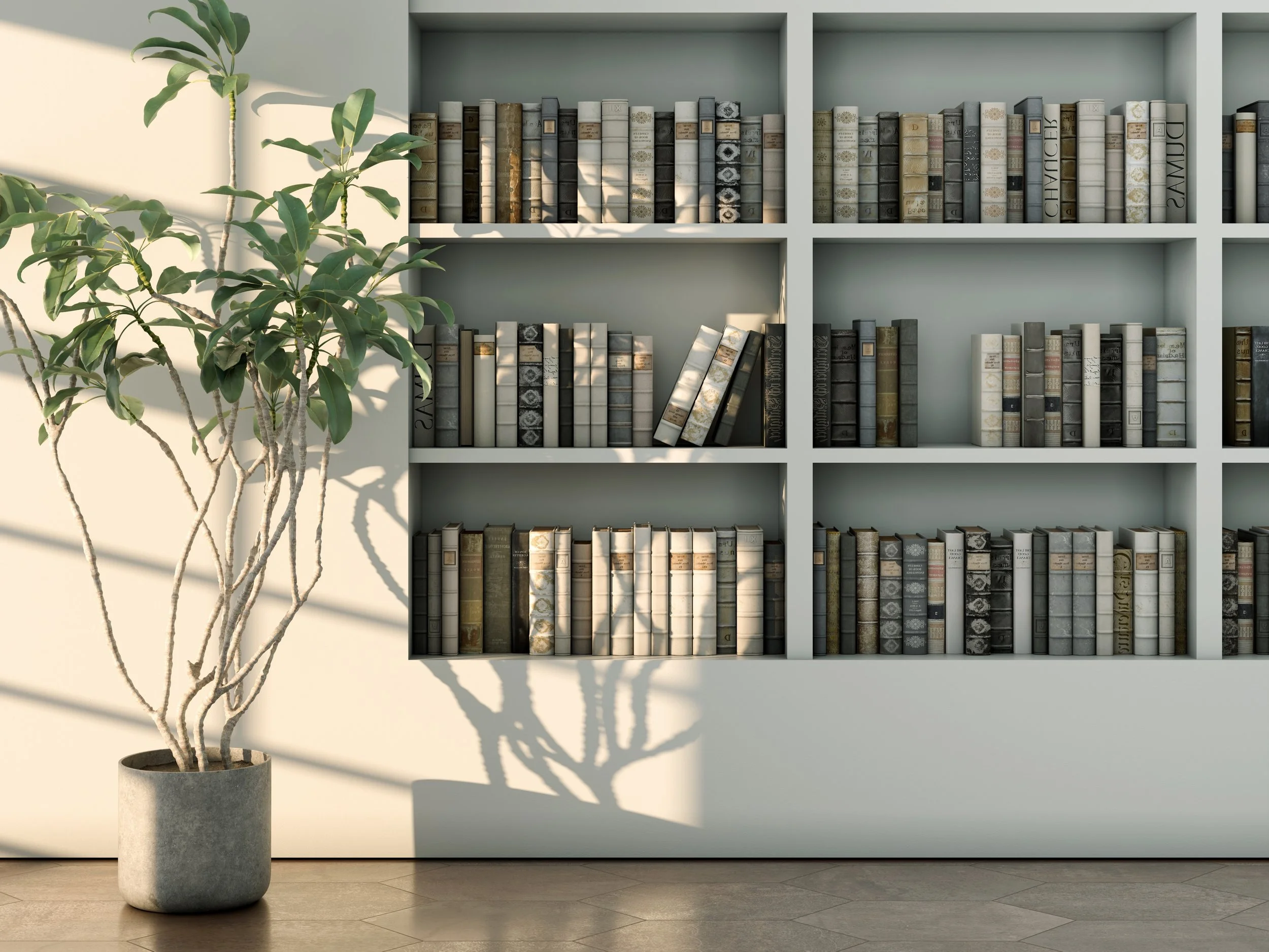 A sunlit, suggesting morning or evening light. A tall, potted domestic plant sits on to the left in the shafts of light through the window, which is out of frame. The wall facing the camera is predominantly recessed sheling full of books.