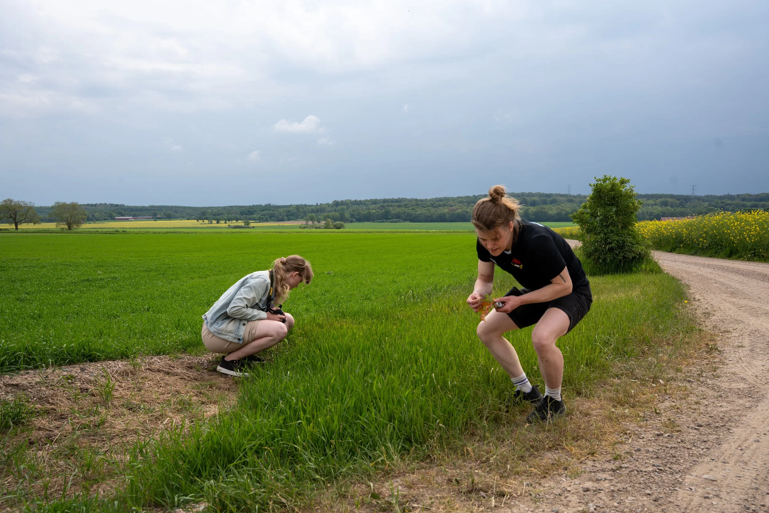Investigating plants in Skåne