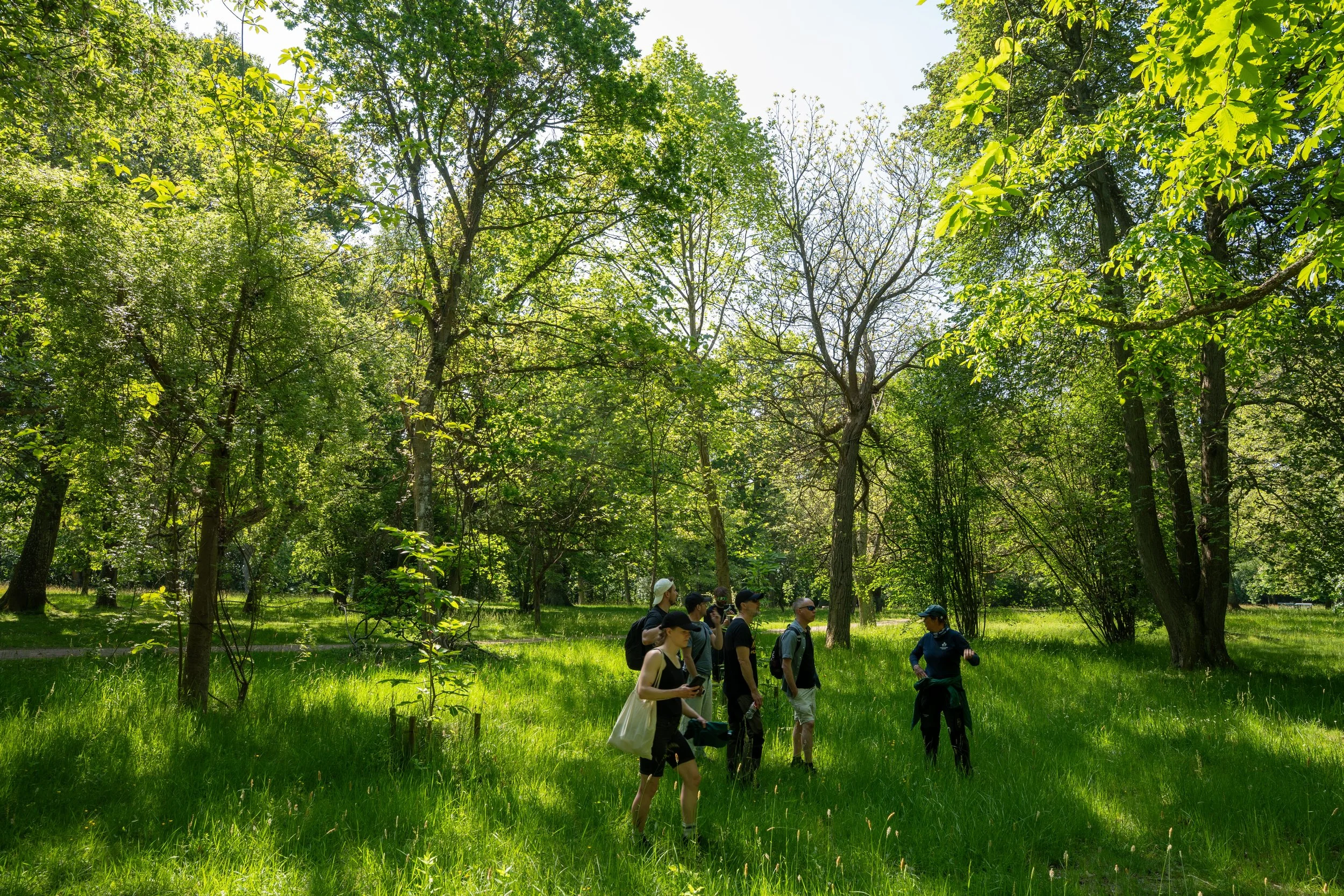 The SweBITS team enjoy a guided tour of the SLU Alnarp Park grounds.