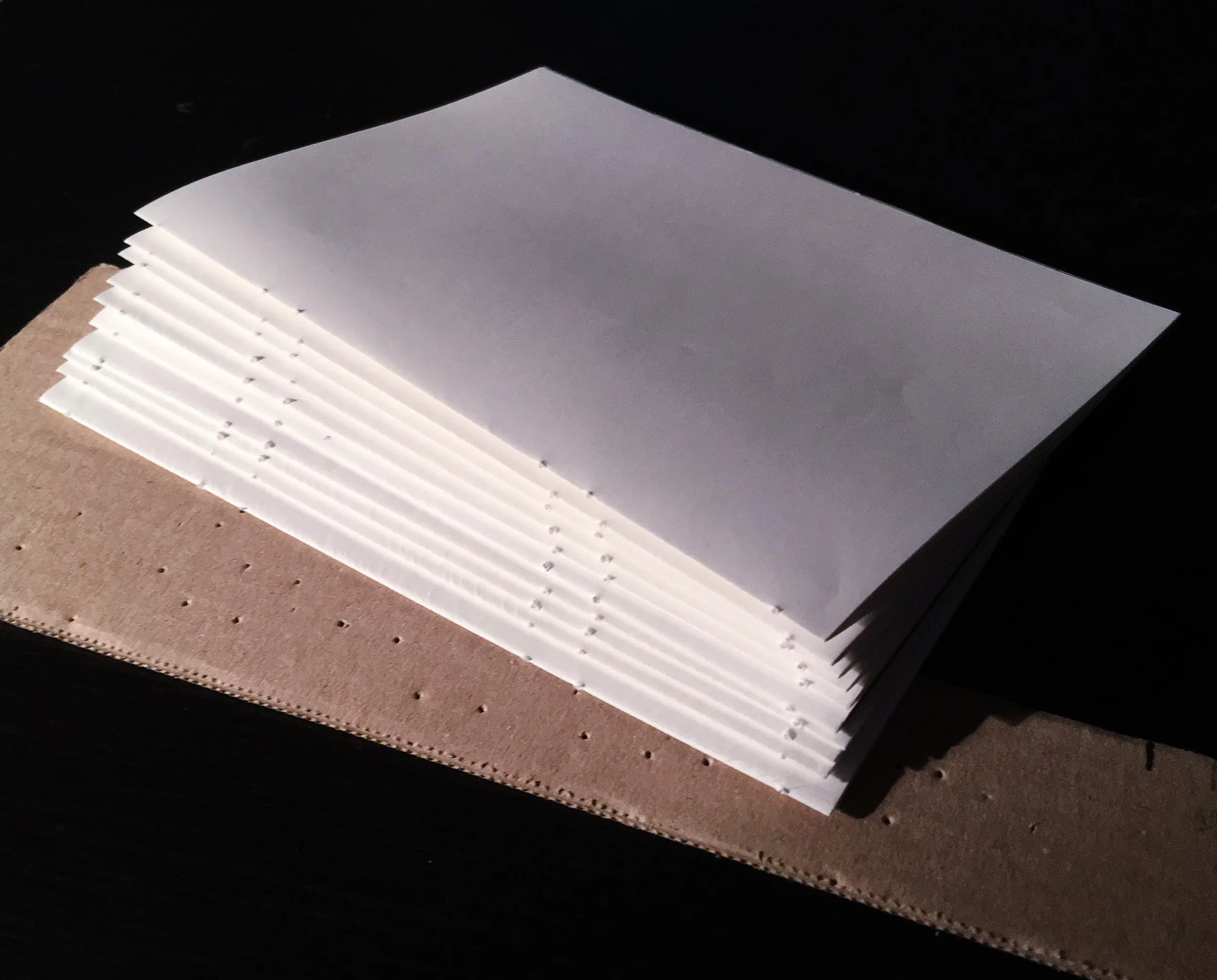 Life Story Collection