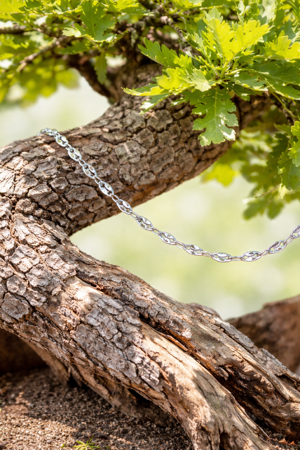 A silver chain draped over a tree branch with textured bark and green leaves.