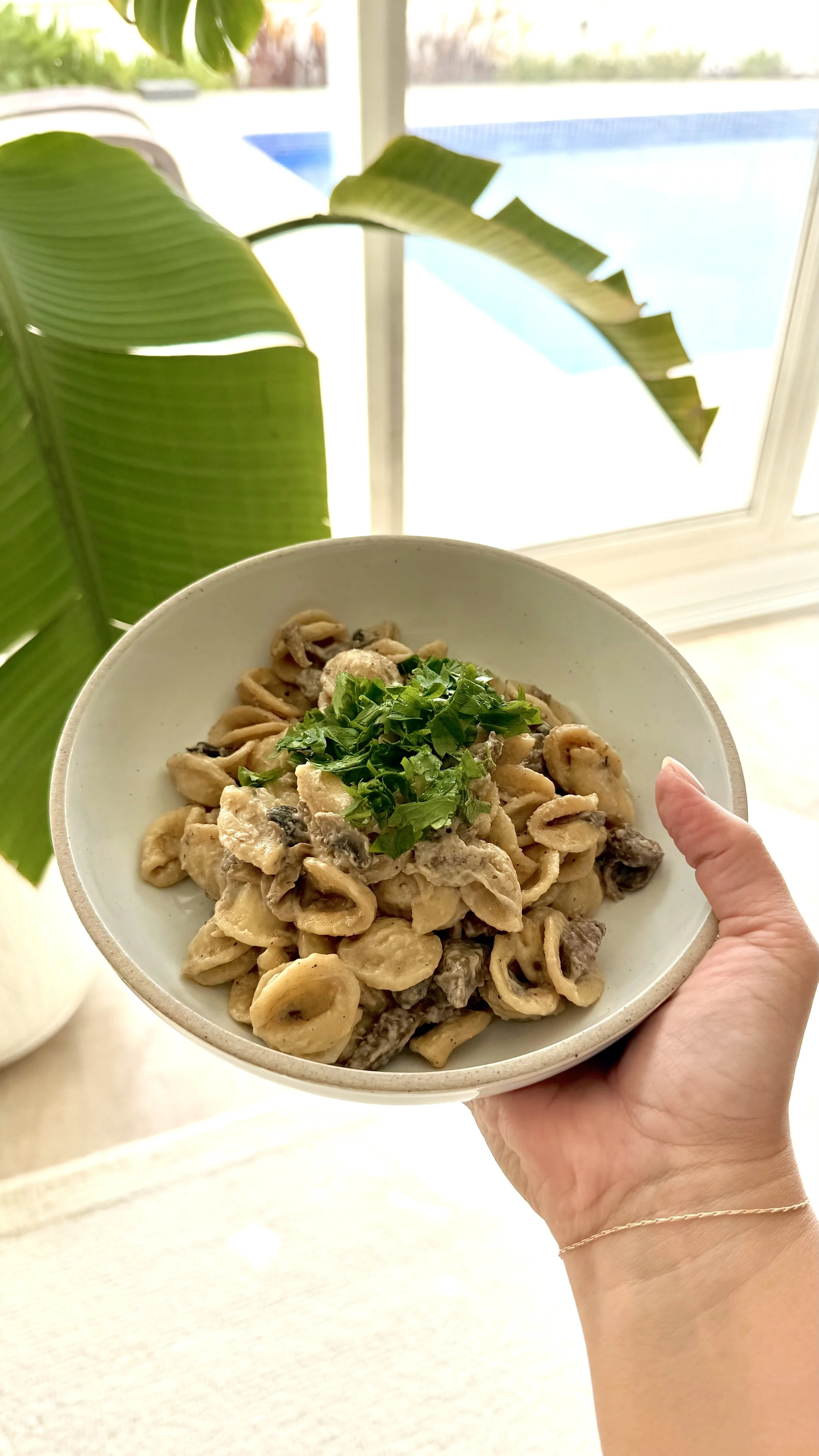Instant Pot Stroganoff (On Repeat)
