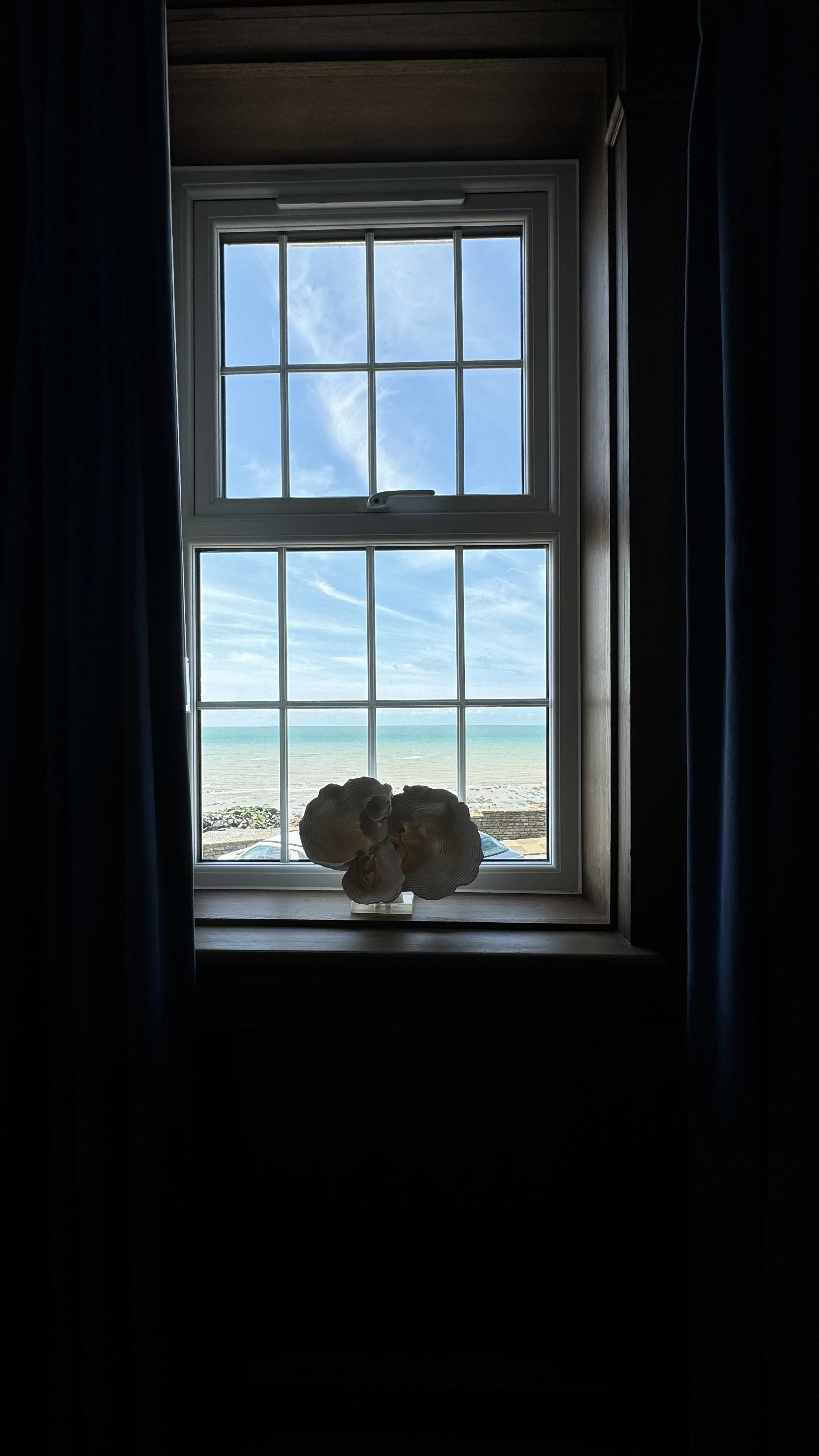 IMG_4164.jpeg