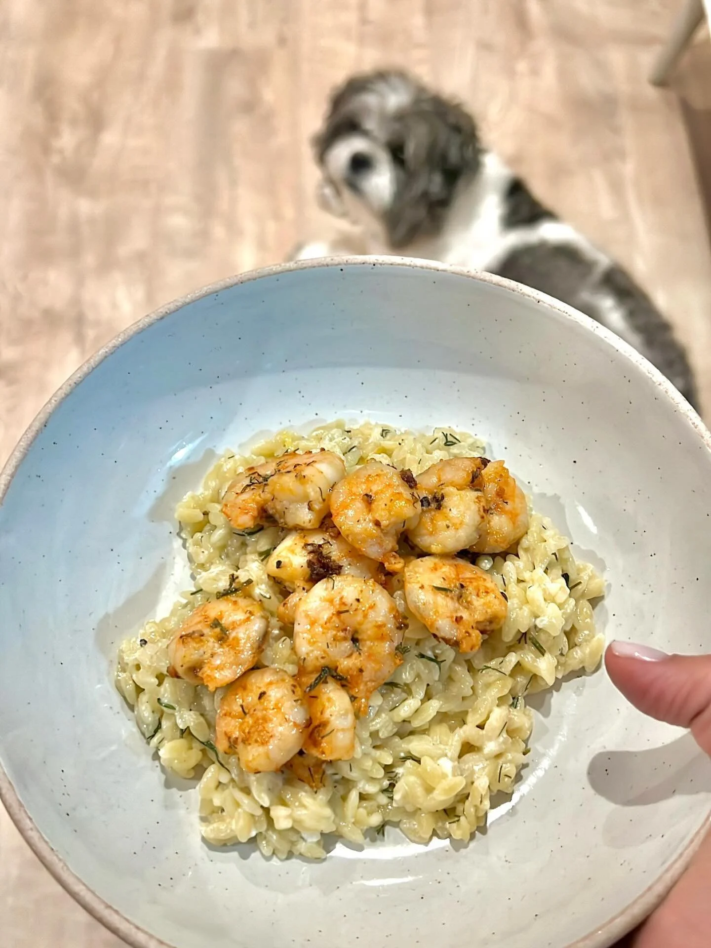 Tried this shrimp lemon feta orzo recipe from The Modern Nonna￼ and wow.

Fresh, creamy, light, and so flavorful.

Definitely making this again.

Recipe on the blog.