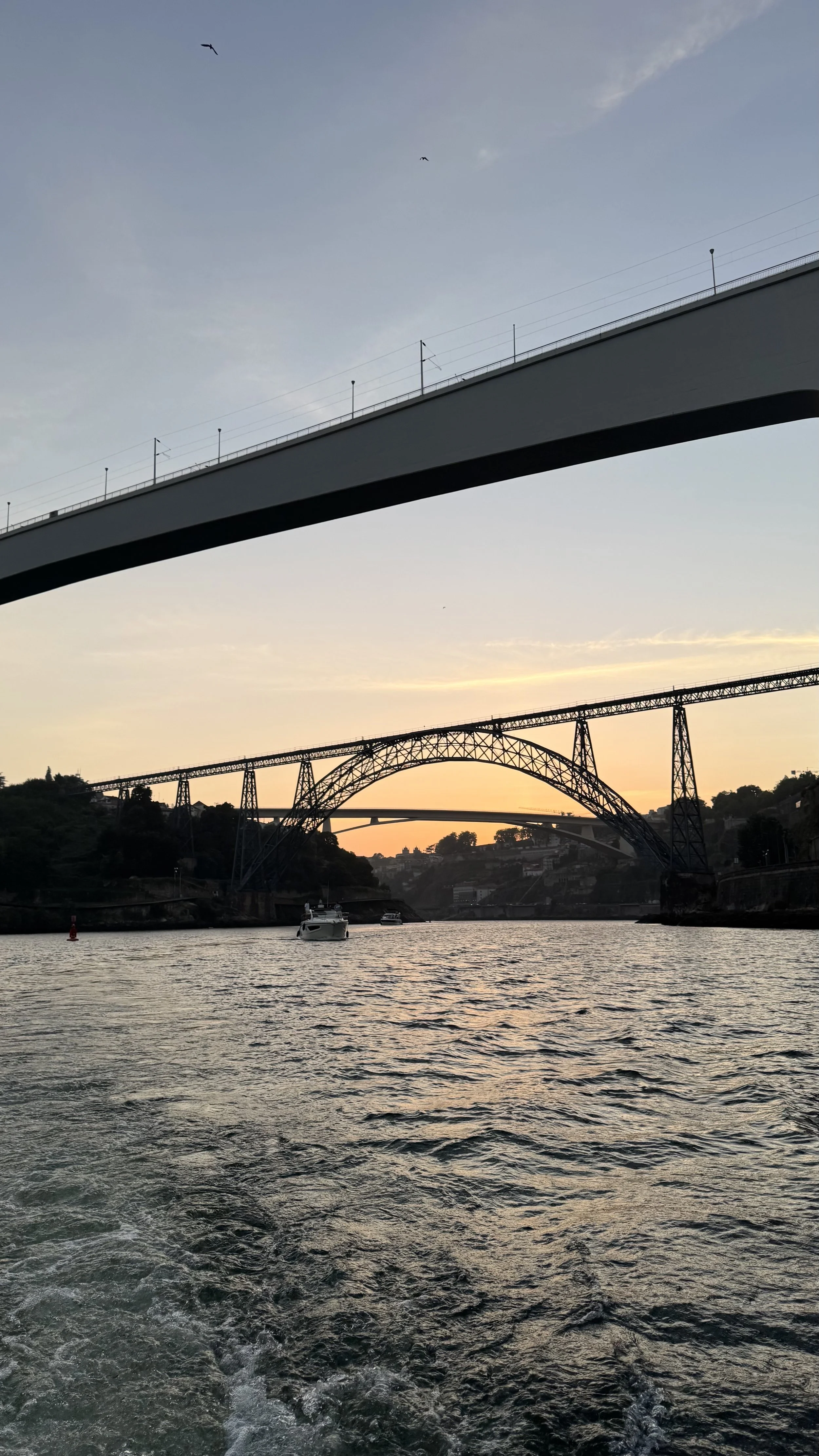 IMG_9656.jpeg