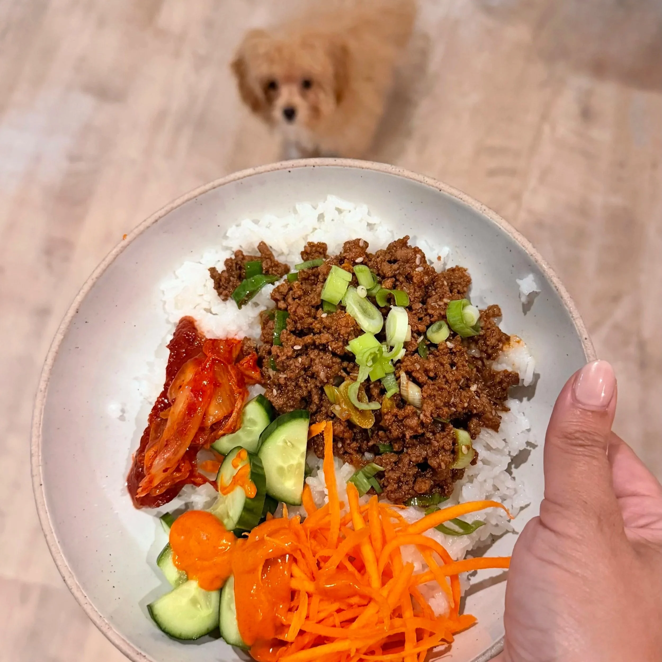 Korean Beef Bowls