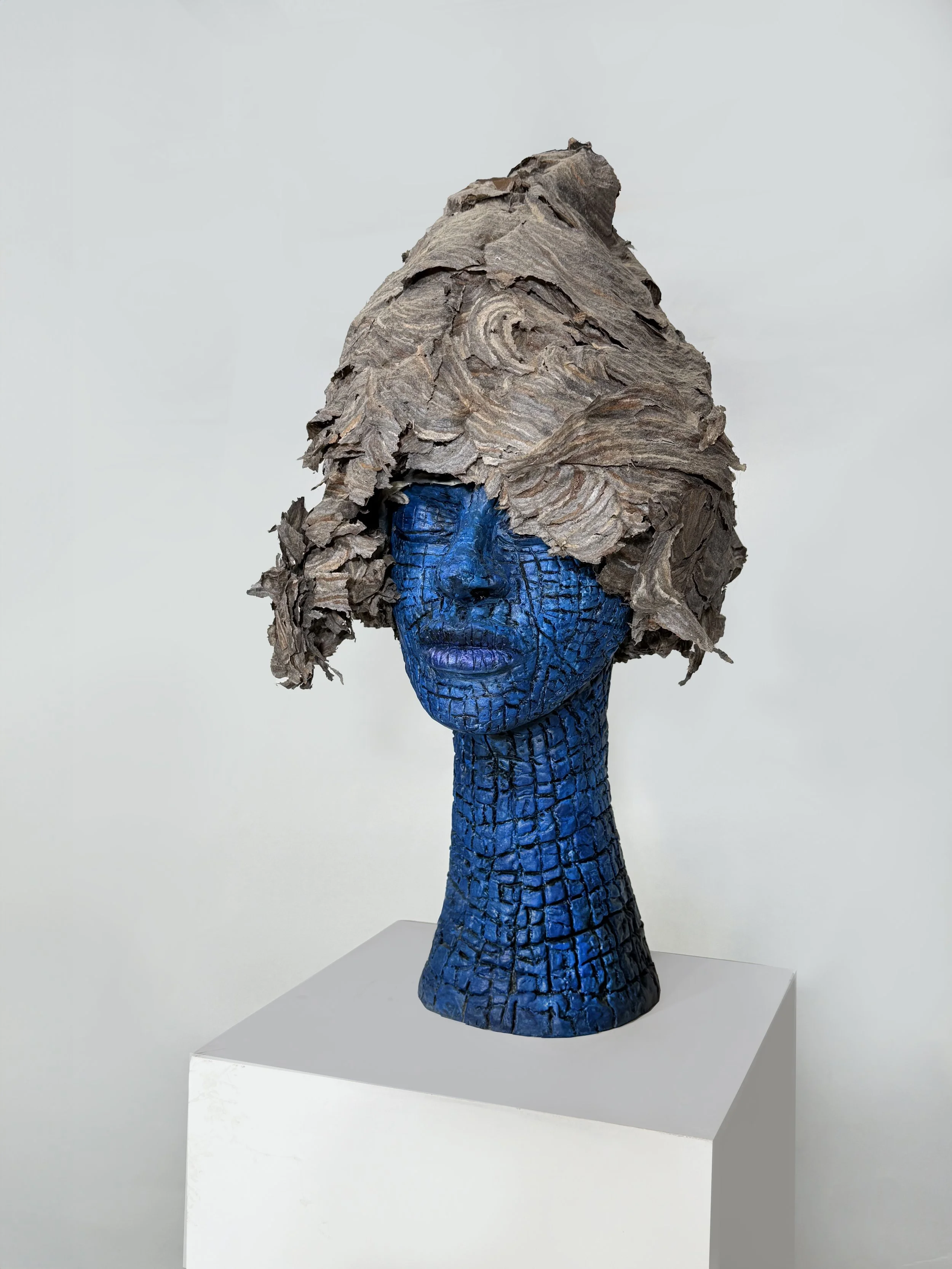 The hive profile. 2025. Hornet nest on clay. - 30x15x15