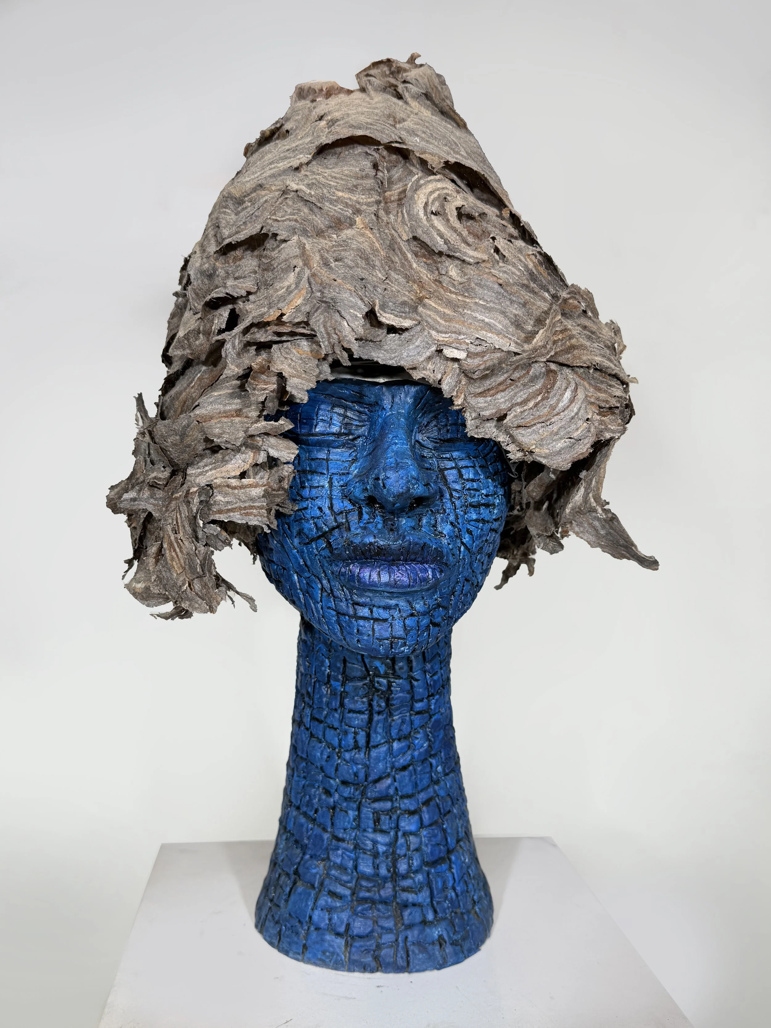 The hive. 2025. Hornet nest on clay. - 30x15x15