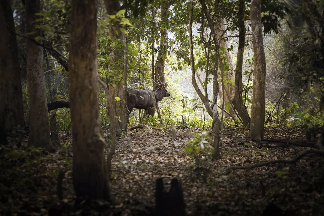 FotoMatter 1.0