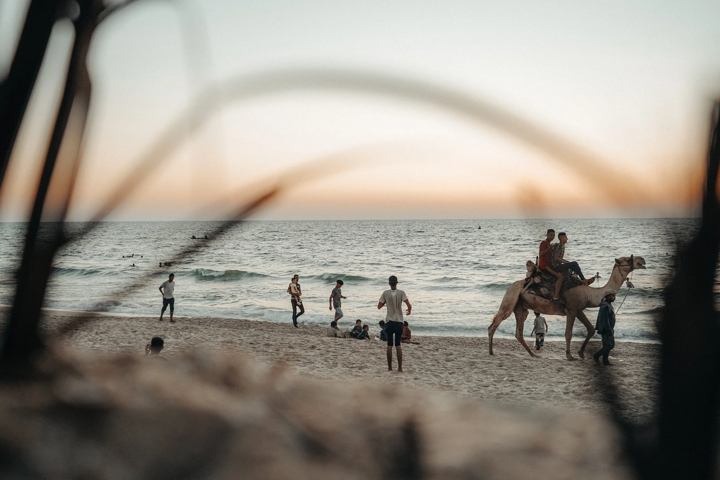 Palestinians on the beach in Gaza, some walking, some sitting, with a boy riding a camel in the foreground, and the ocean and sunset in the background, viewed through a blurred frame.