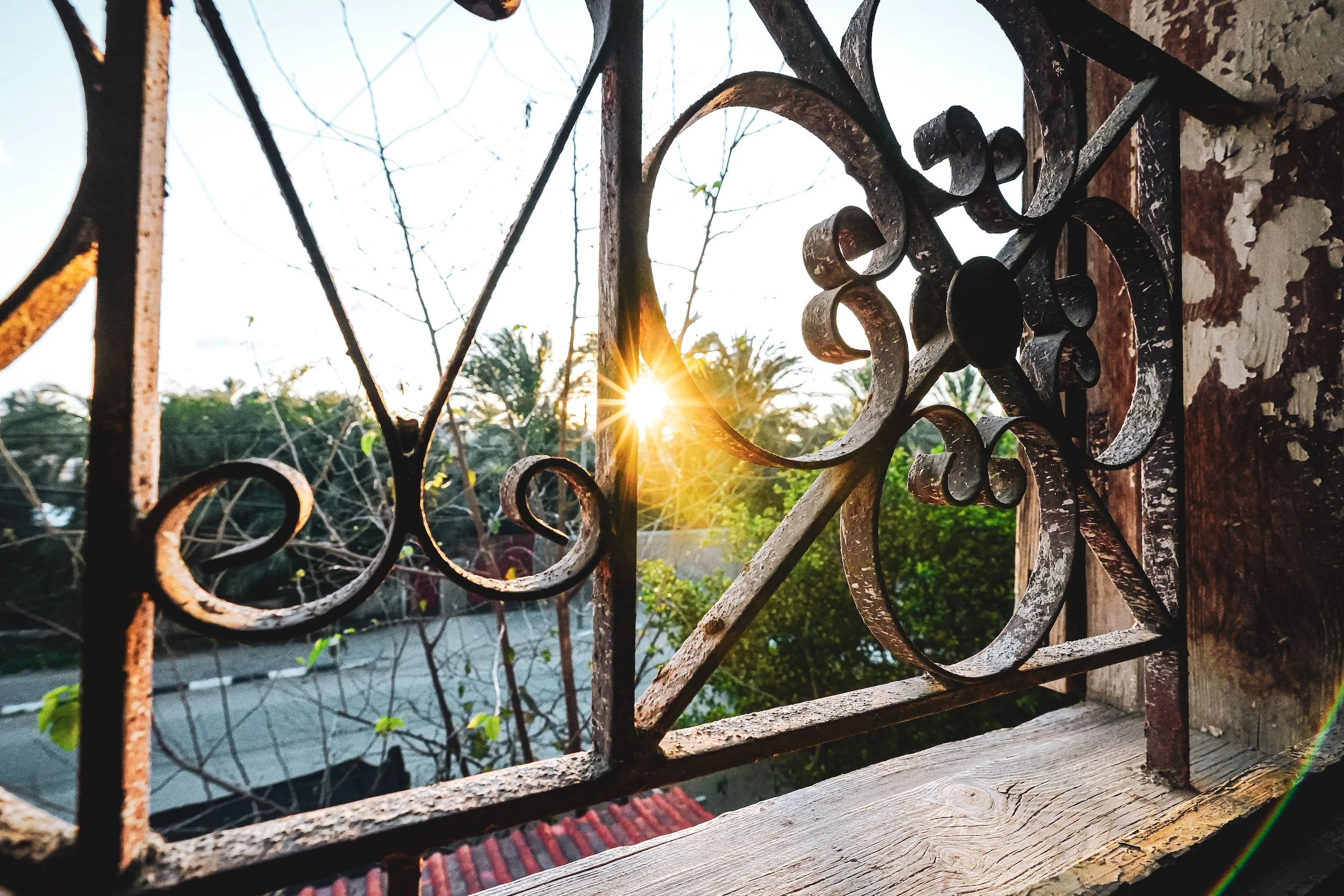 Sunrise viewed in Gaza through a rusty, ornate wrought iron gate with worn paint, with some green foliage visible in the background.