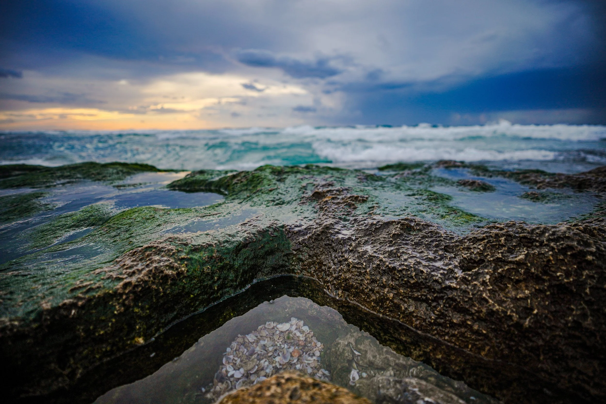 Close-up of green algae-covered rocks on the beach in Gaza with the ocean waves and cloudy sky in the background.