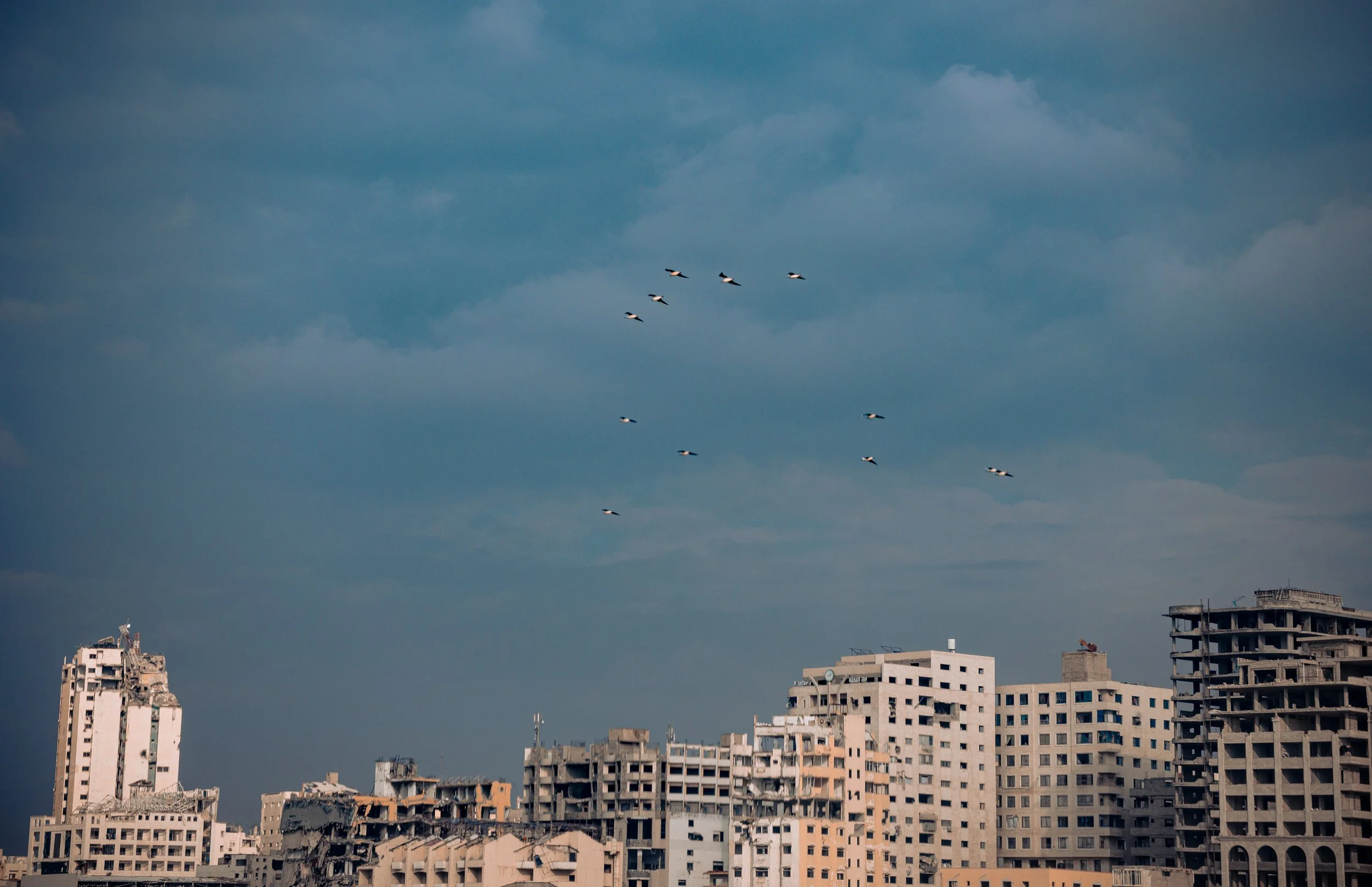 _DSC7599.JPEG