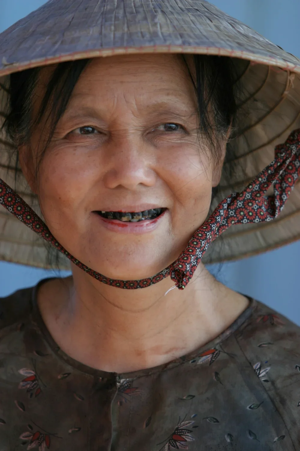 Journey From The Fall (2007). Kieu Chinh