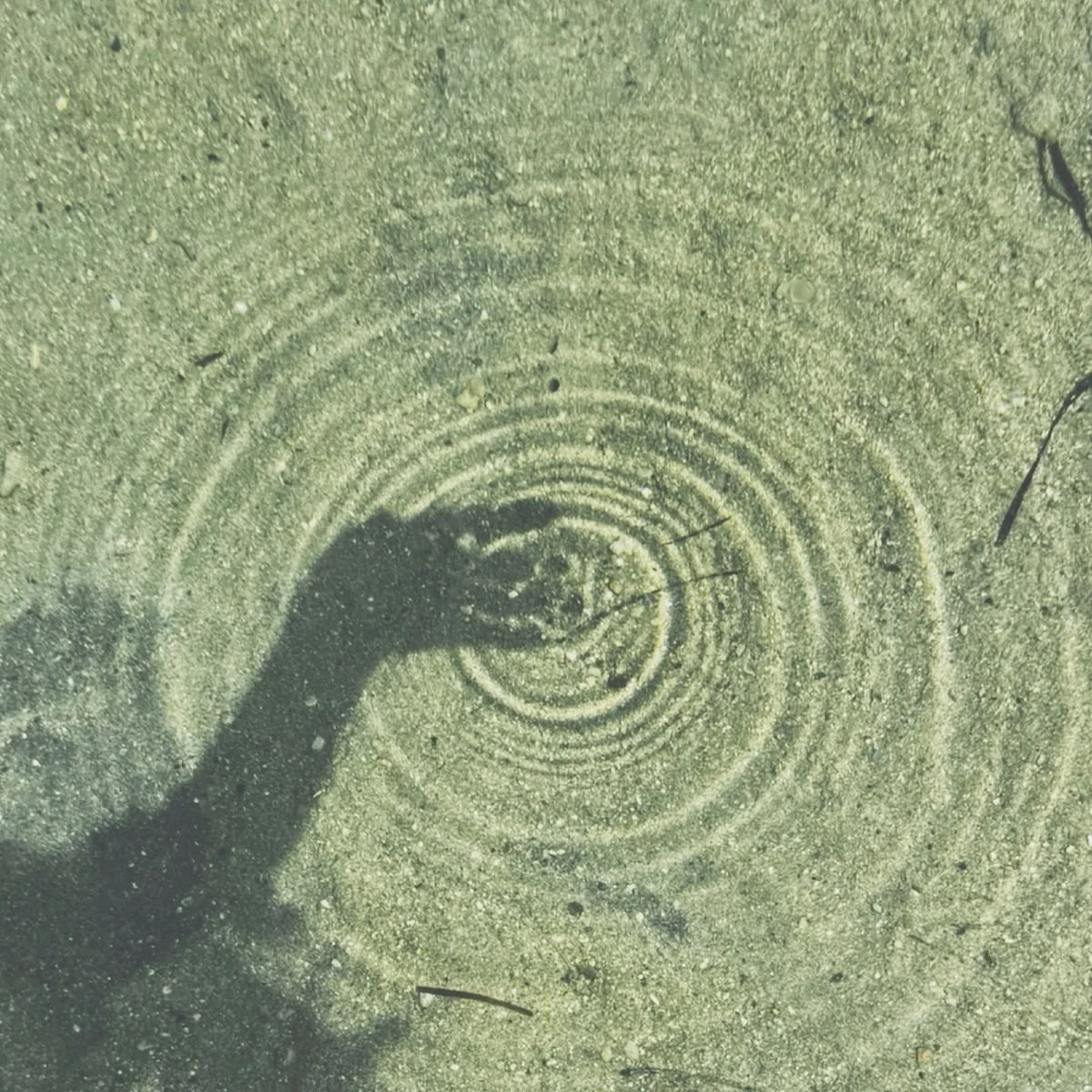 Shadow of a person taking a photo of concentric circle patterns carved into sandy ground.