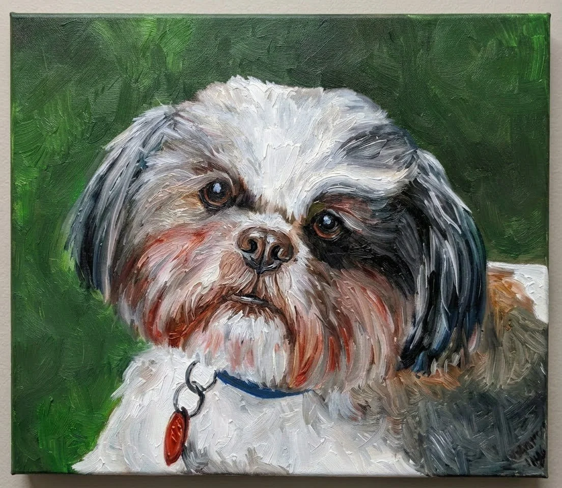 Oil painting of a Shih Tzu dog with a black and white coat, looking directly at the camera, set against a green background.