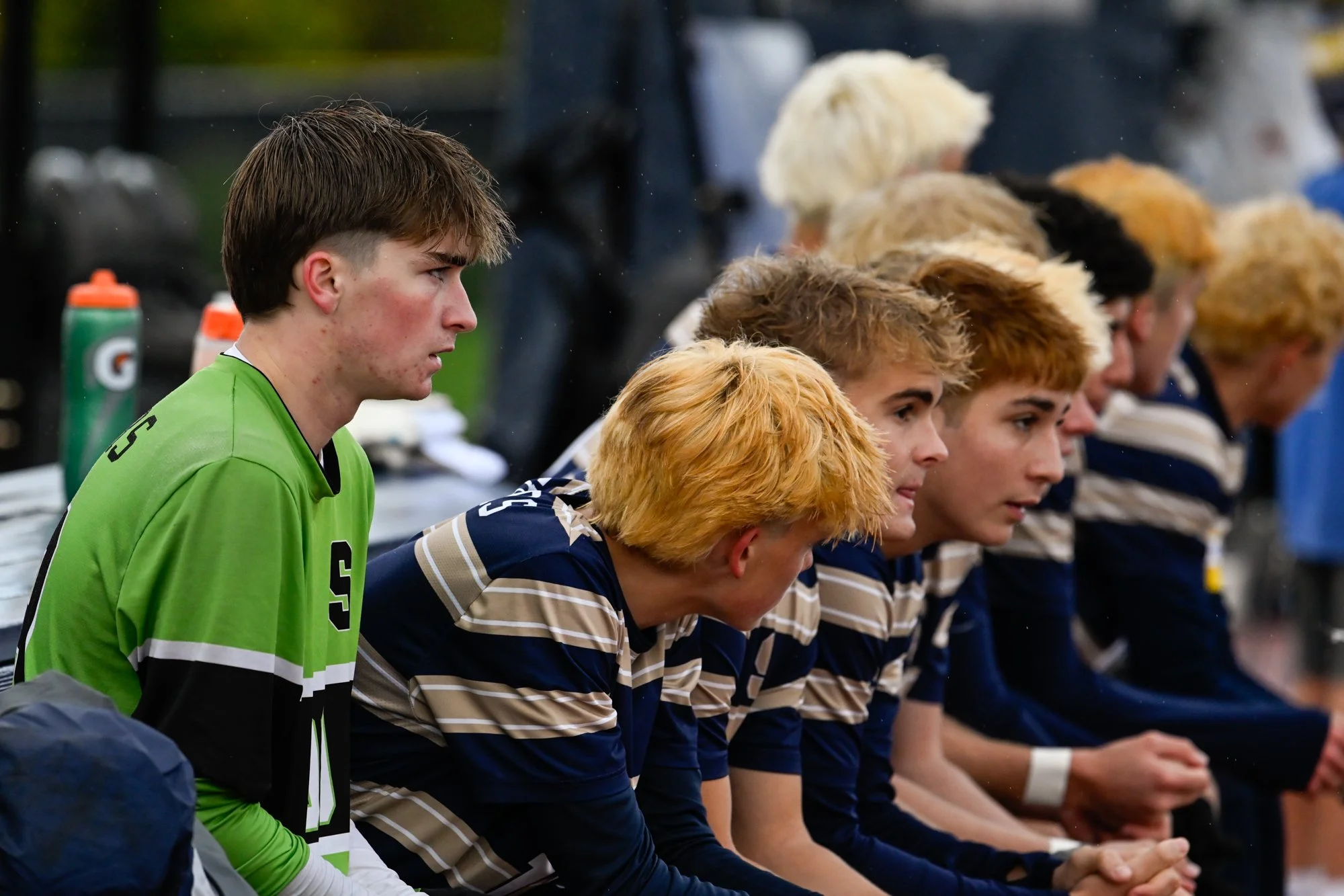 Hoban_Emerging10.jpg