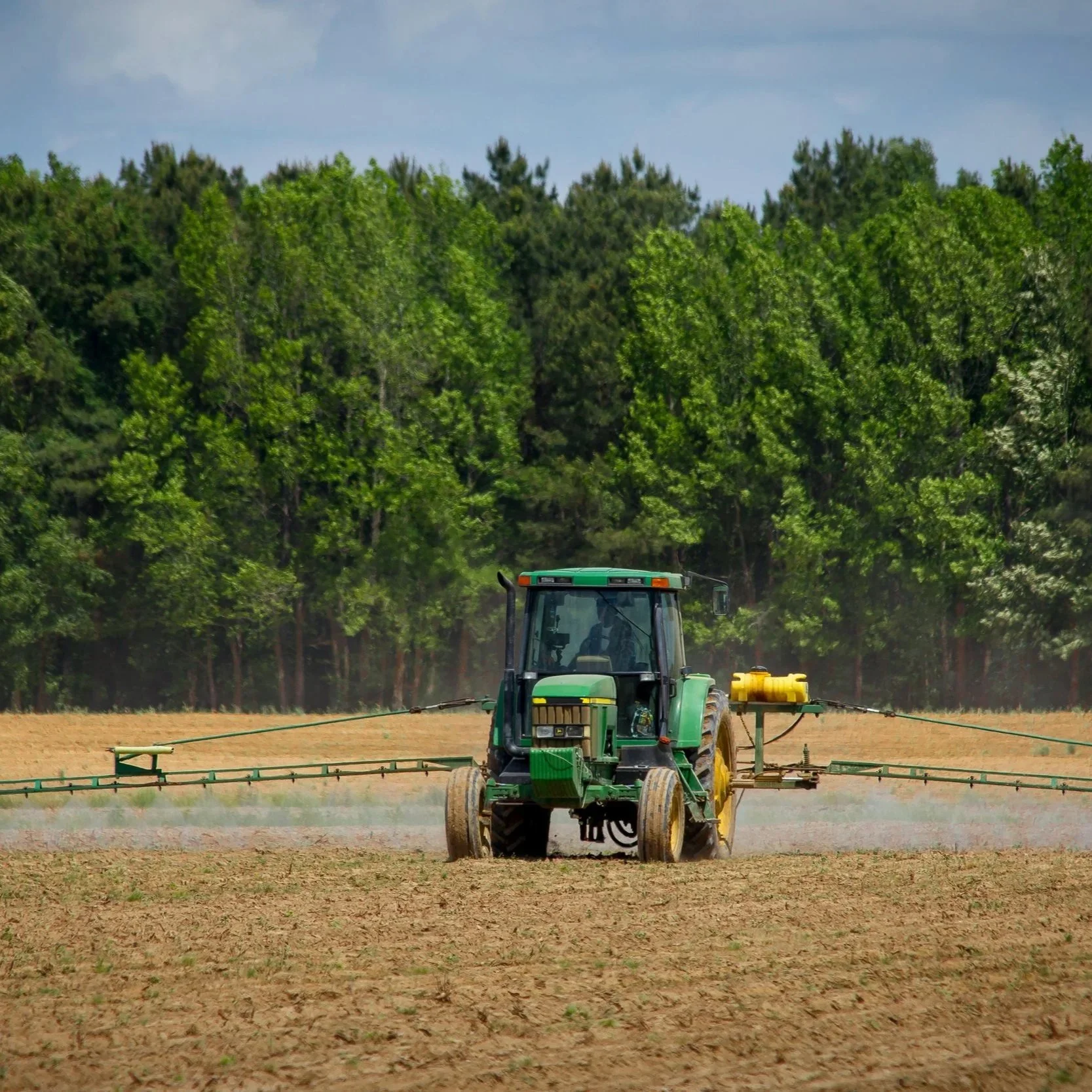 pexels-nc-farm-bureau-mark-2889442.jpg