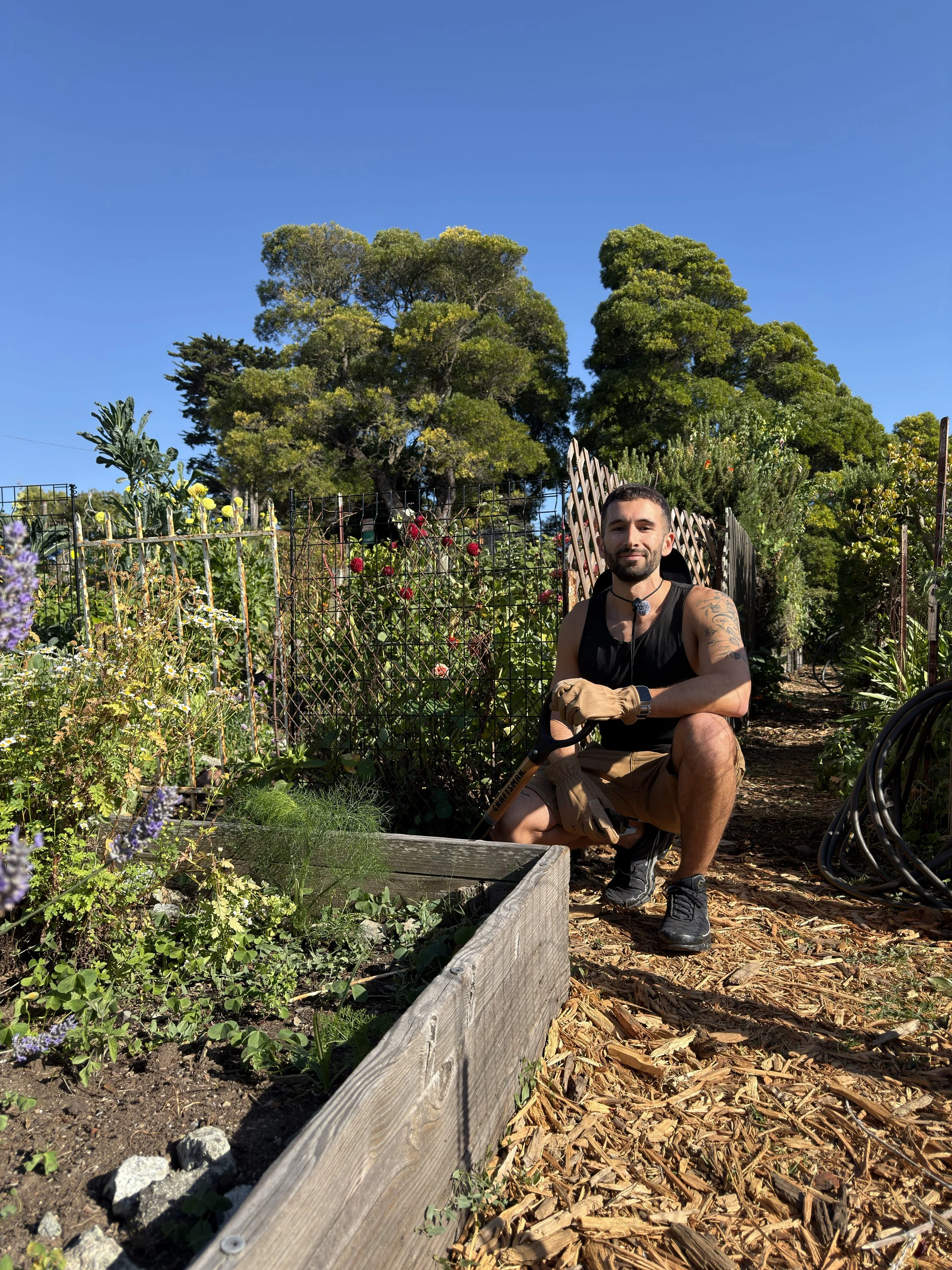 Securing a Coveted Spot in San Francisco’s Community Gardens