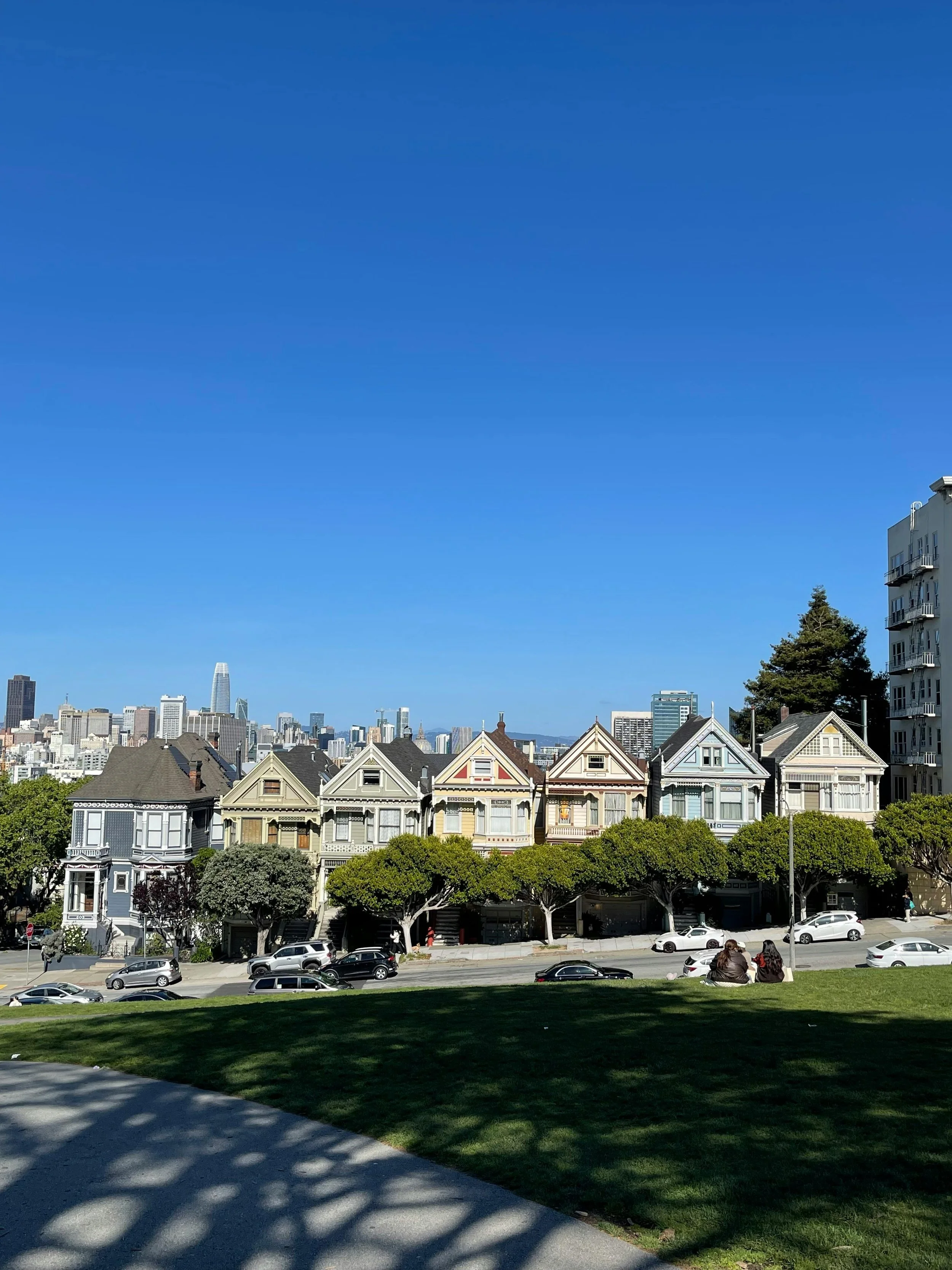 Cityscape with a row of colorful Victorian houses, a grassy park with two people sitting on the grass, and a city skyline with tall buildings in the background under a clear blue sky.