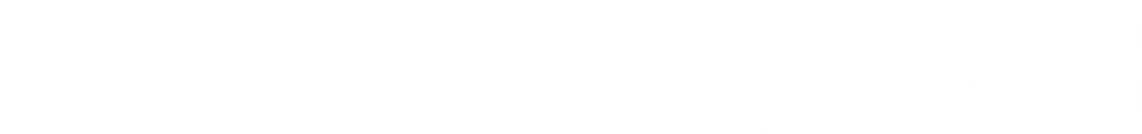 Text logo reading 'MARITIME HYDROVAC' in bold, black and white font.
