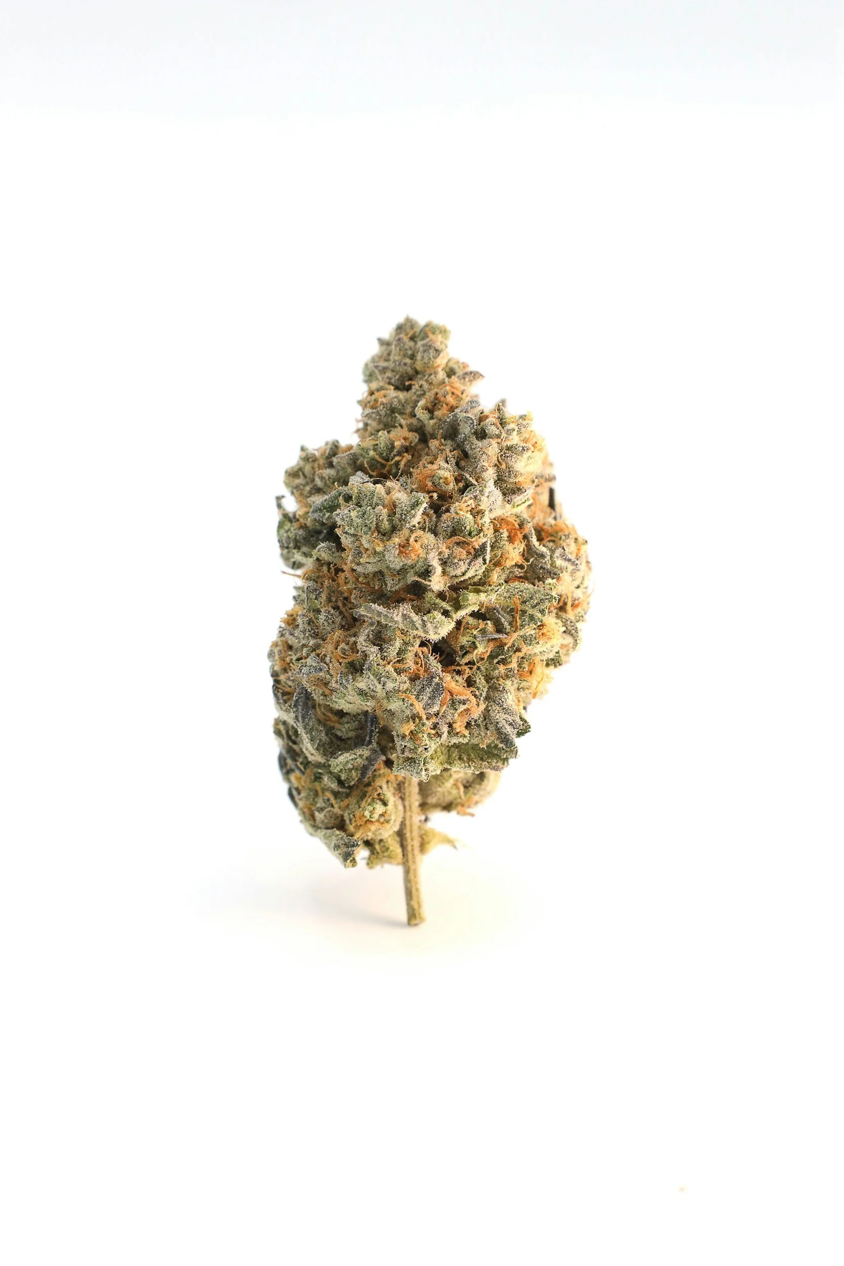 APPLE FRITTER X HEADBANGER - 3.5G