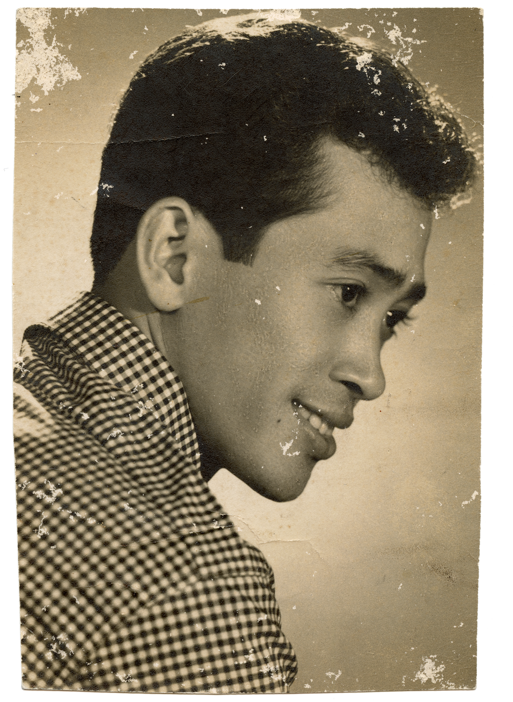 img20250113_19104066300dpi8x10.png.webp