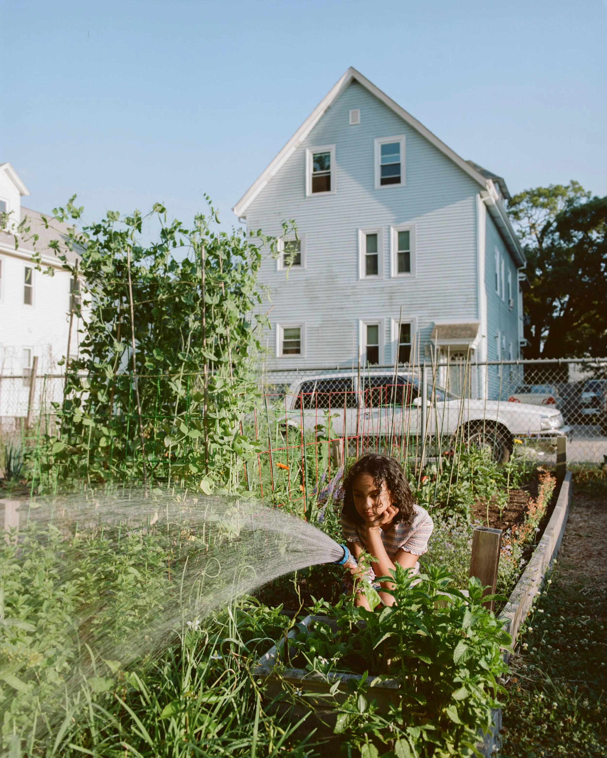 Tings-Garden-3.jpg