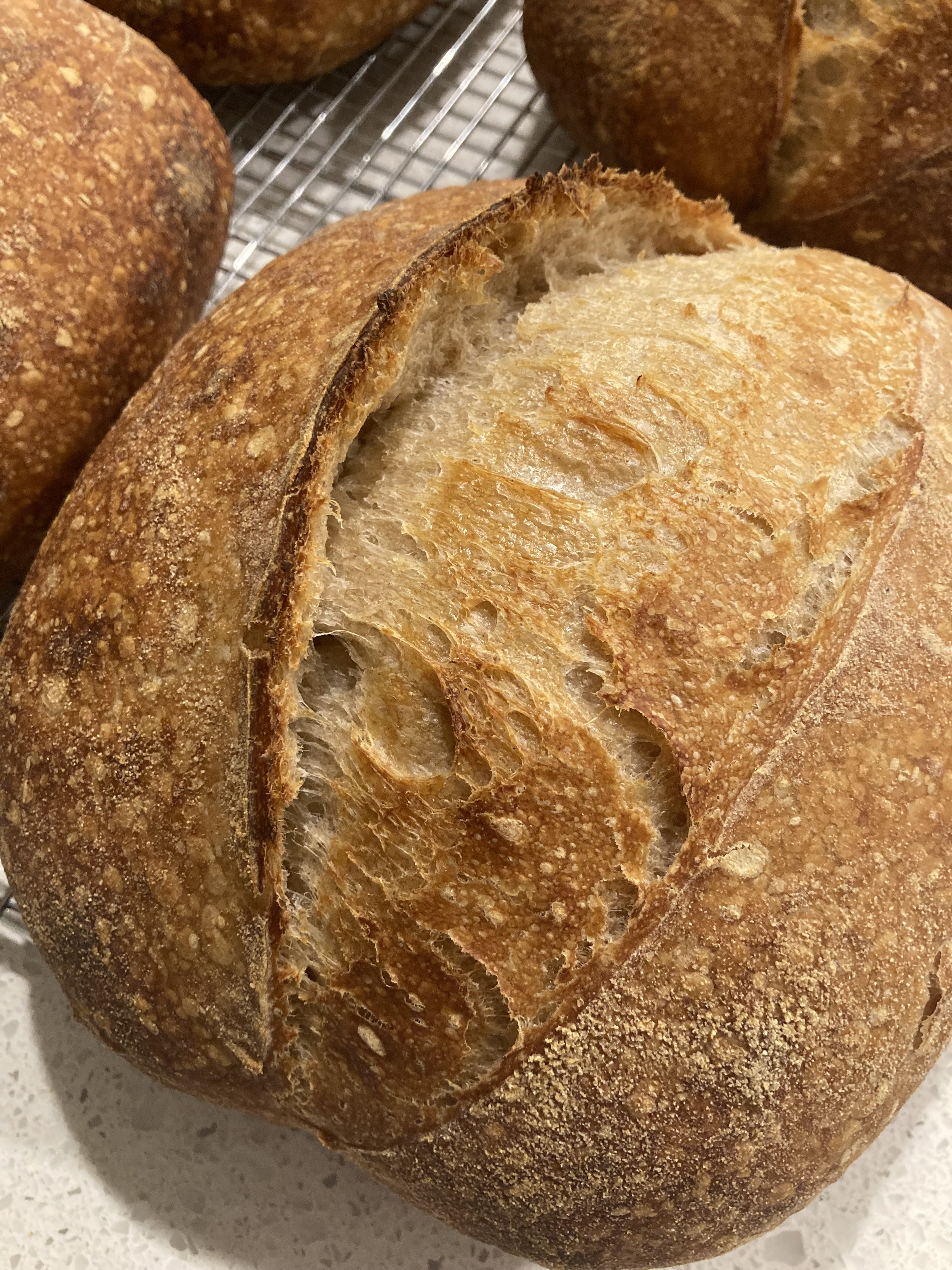 The Rustic Loaf