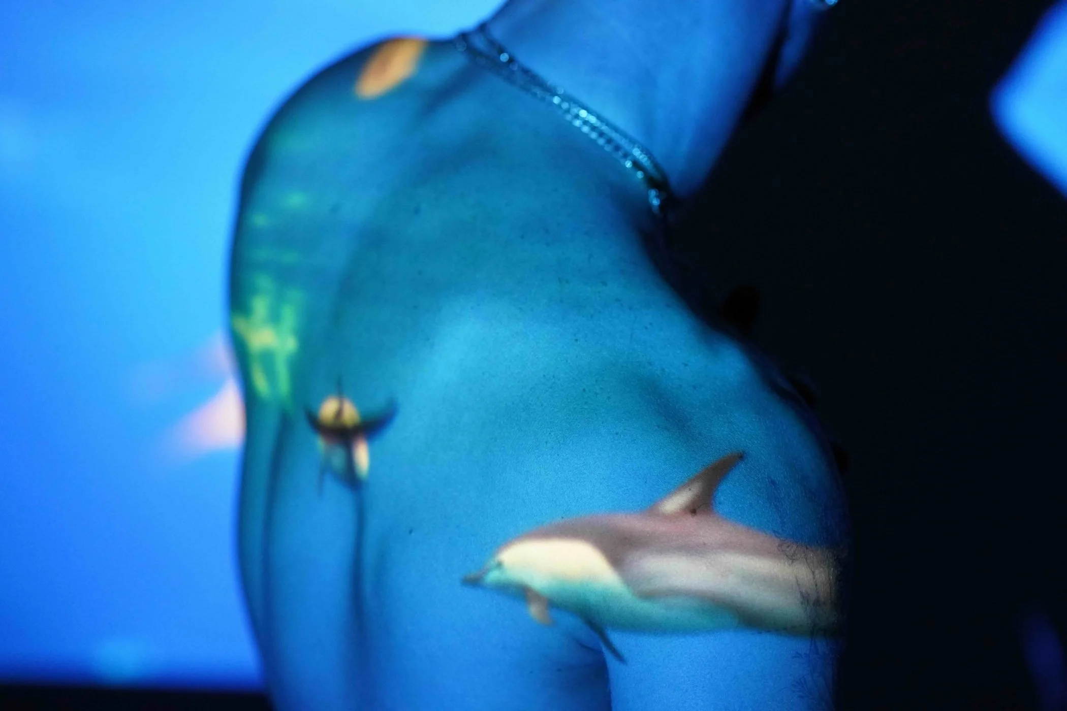 w12.jpg