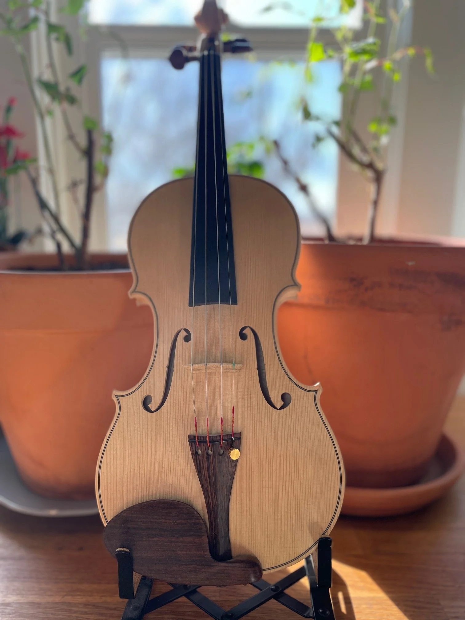 A small wooden violin model placed on a stand on a wooden surface with potted plants and a window in the background.
