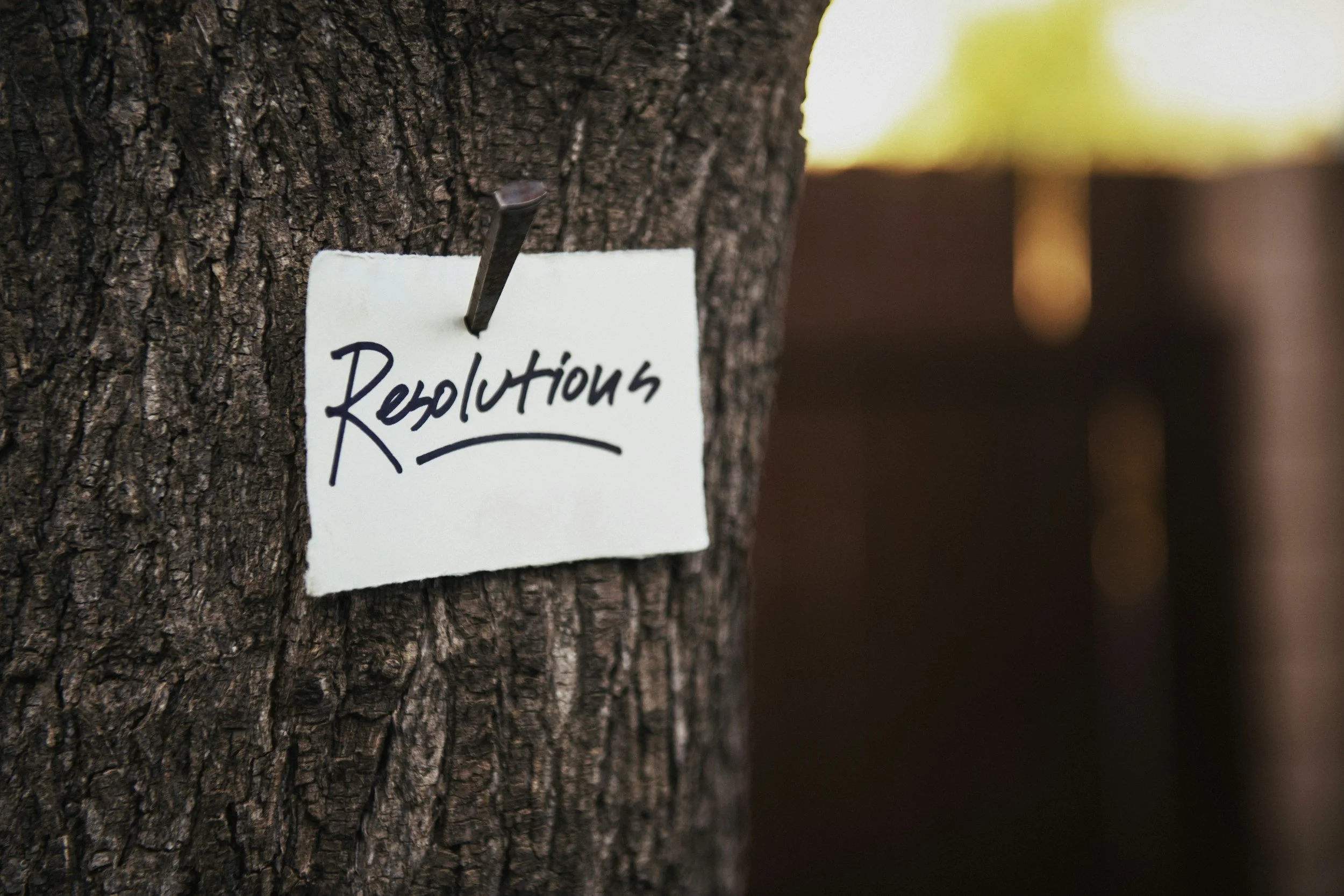 A white card with the word "Revolutions" written in black ink, pinned to a tree trunk.