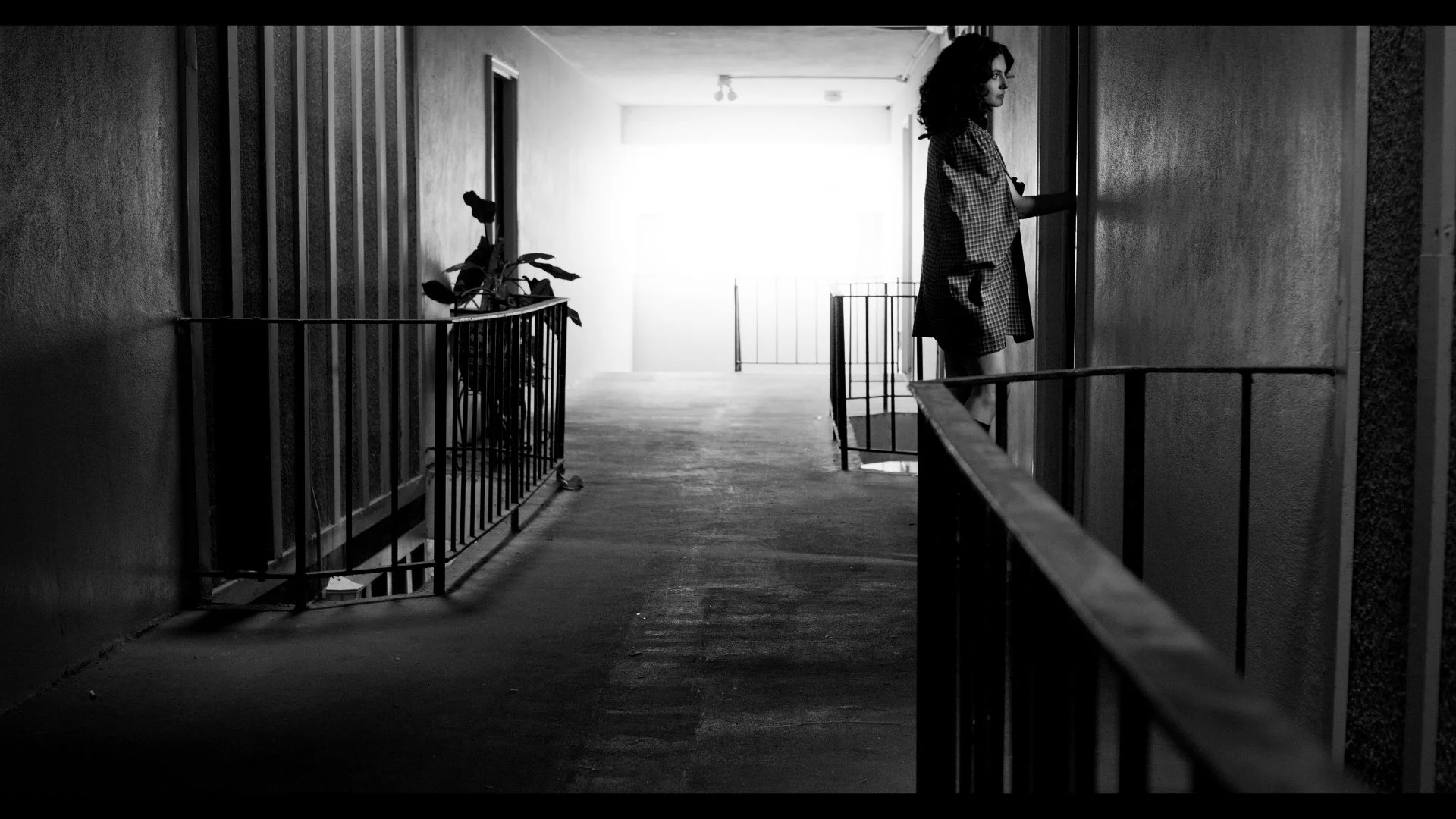 Still 2025-01-21 000123_1.1.5.jpg