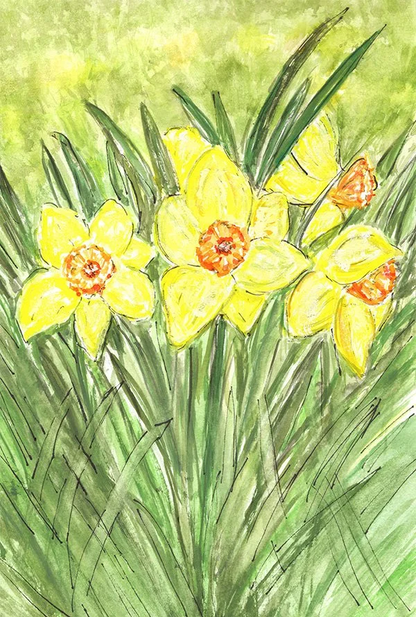 Daffodil