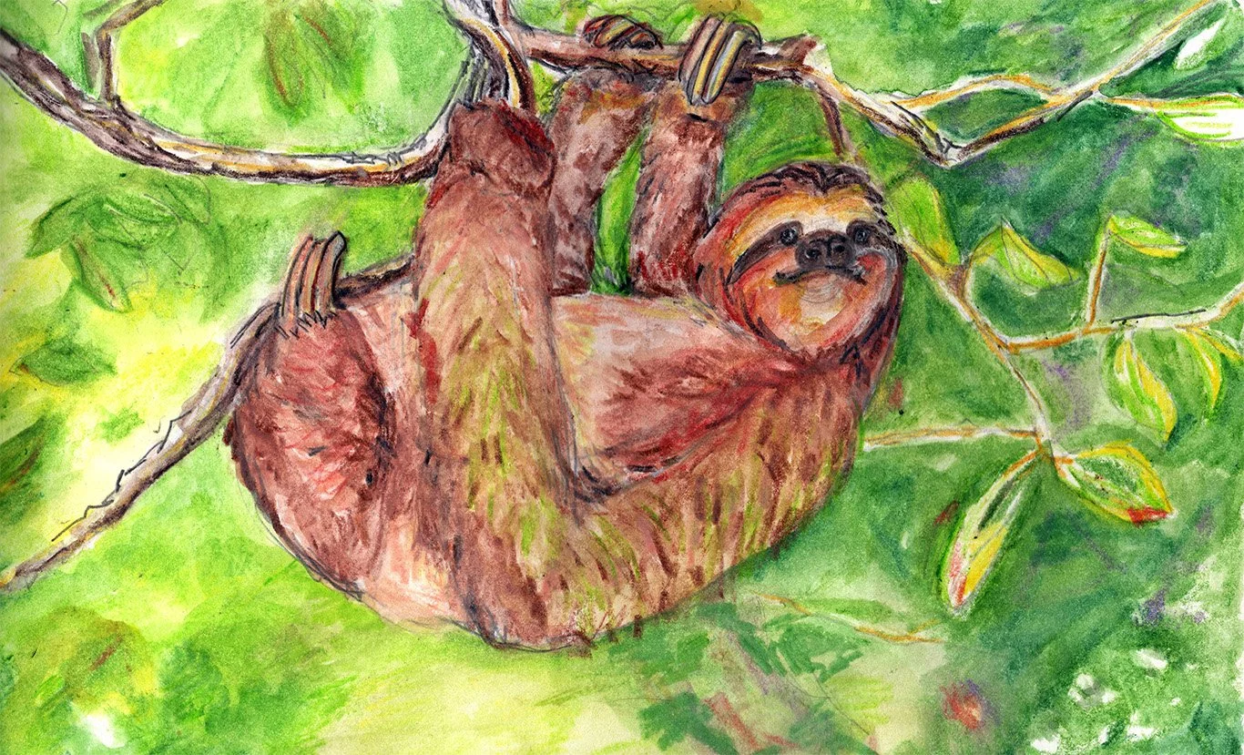 sloth card low rextif.jpg
