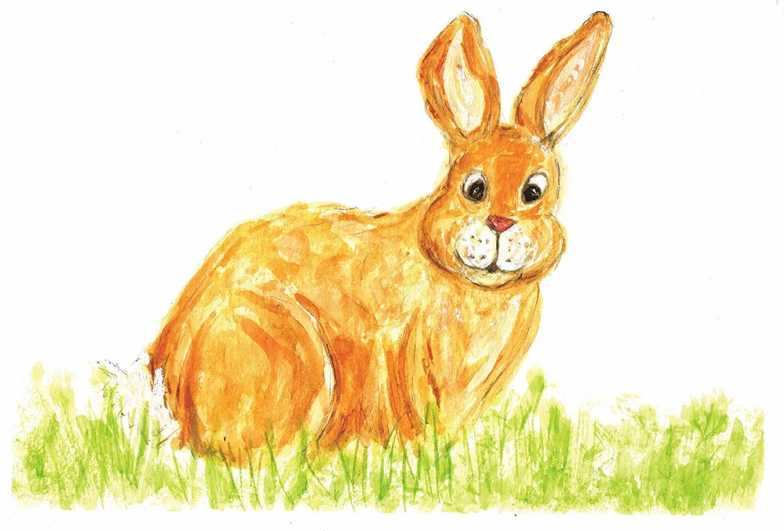hello Bunny low res.jpg