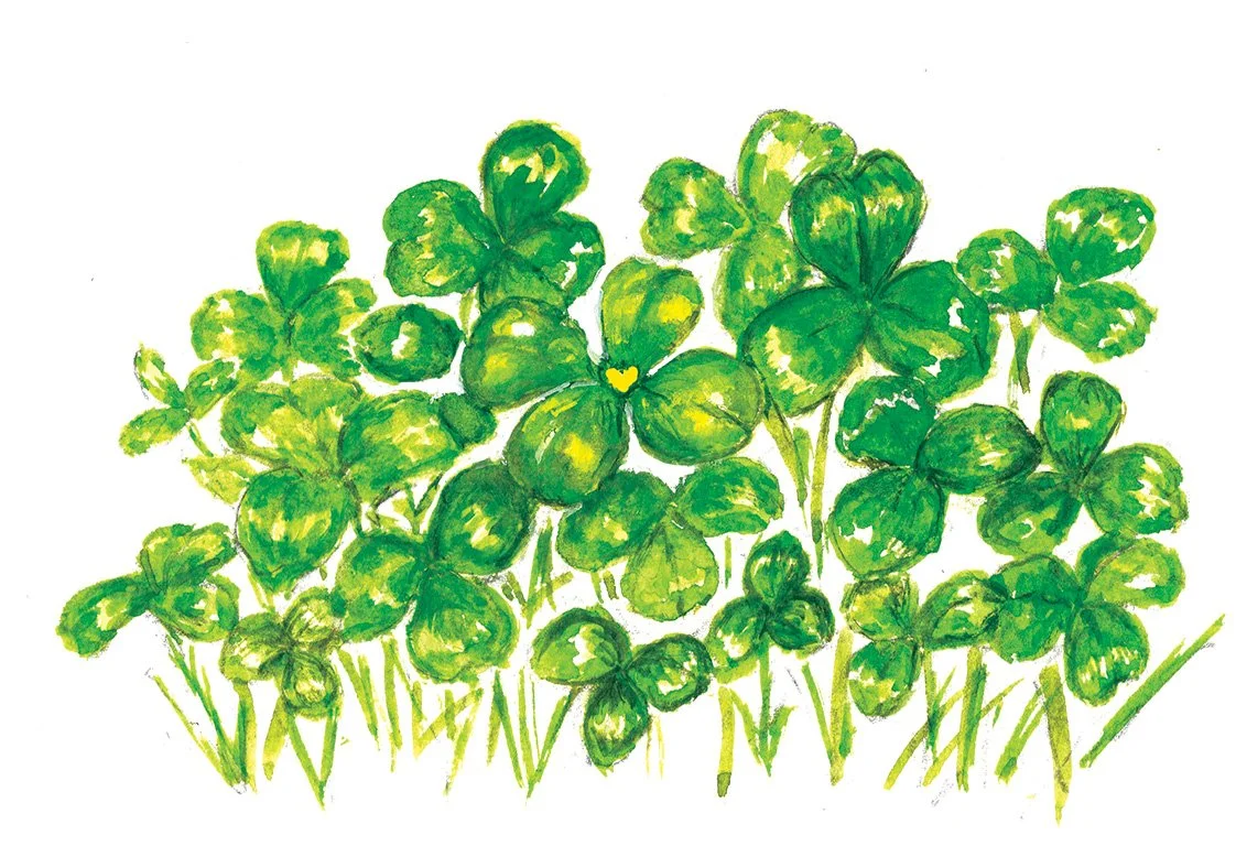 Final Lucky Shamrock low res.jpg